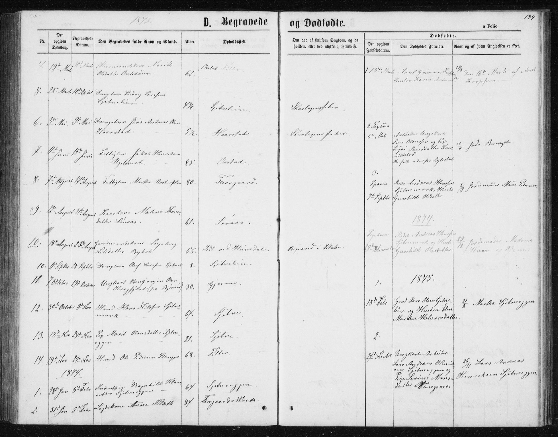 Ministerialprotokoller, klokkerbøker og fødselsregistre - Sør-Trøndelag, SAT/A-1456/621/L0459: Parish register (copy) no. 621C02, 1866-1895, p. 134