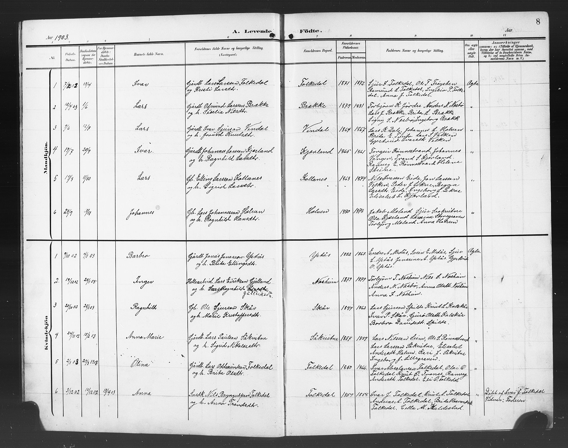 Ulvik sokneprestembete, SAB/A-78801/H/Hab: Parish register (copy) no. B 4, 1902-1923, p. 8