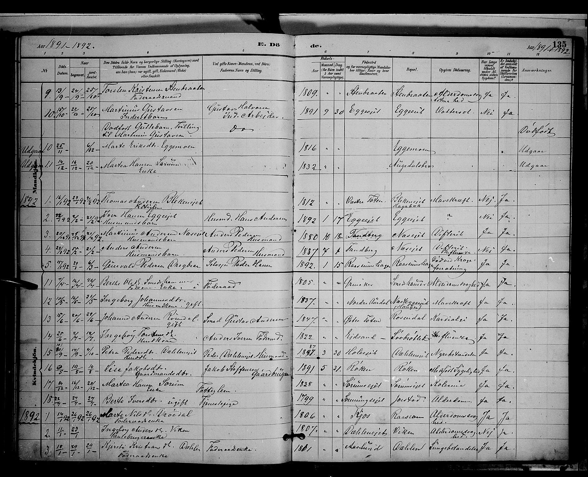Gran prestekontor, SAH/PREST-112/H/Ha/Hab/L0004: Parish register (copy) no. 4, 1890-1899, p. 135