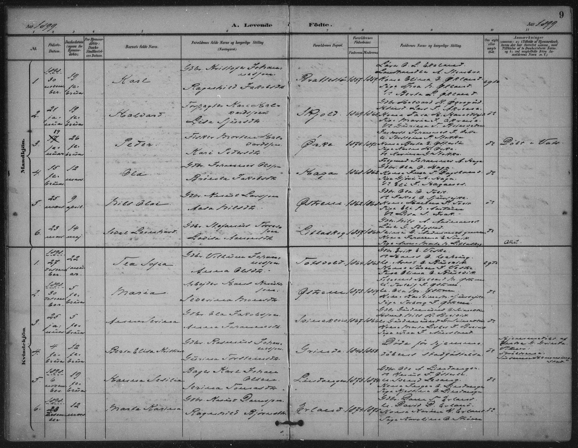 Skjold sokneprestkontor, AV/SAST-A-101847/H/Ha/Haa/L0011: Parish register (official) no. A 11, 1897-1914, p. 9