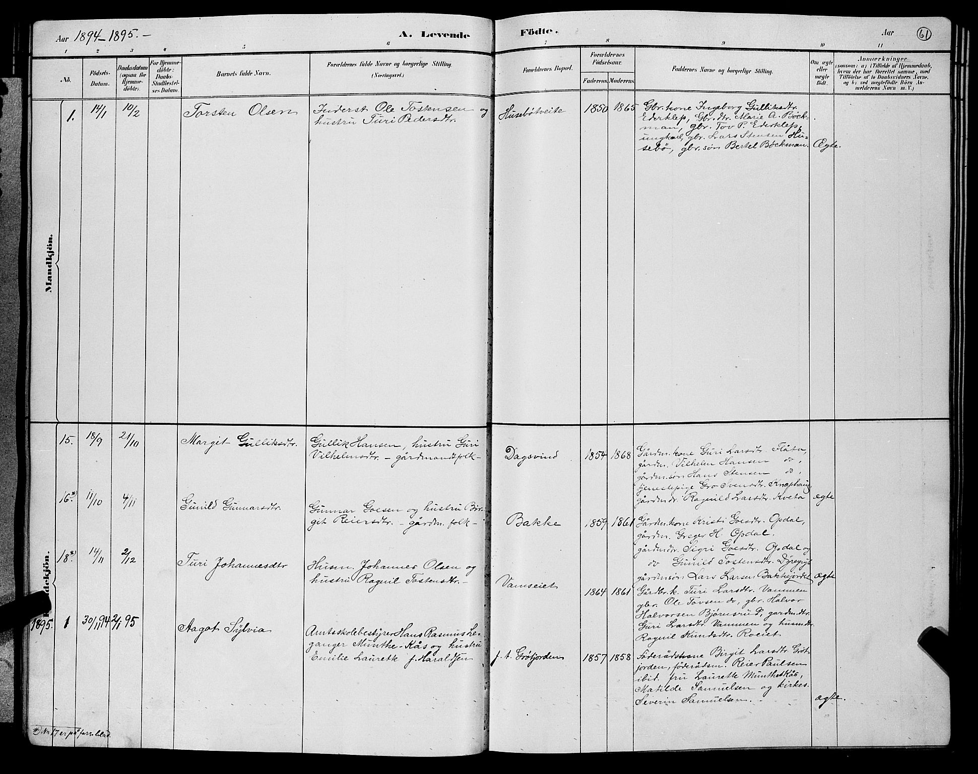 Nore kirkebøker, SAKO/A-238/G/Gb/L0002: Parish register (copy) no. II 2, 1878-1894, p. 61