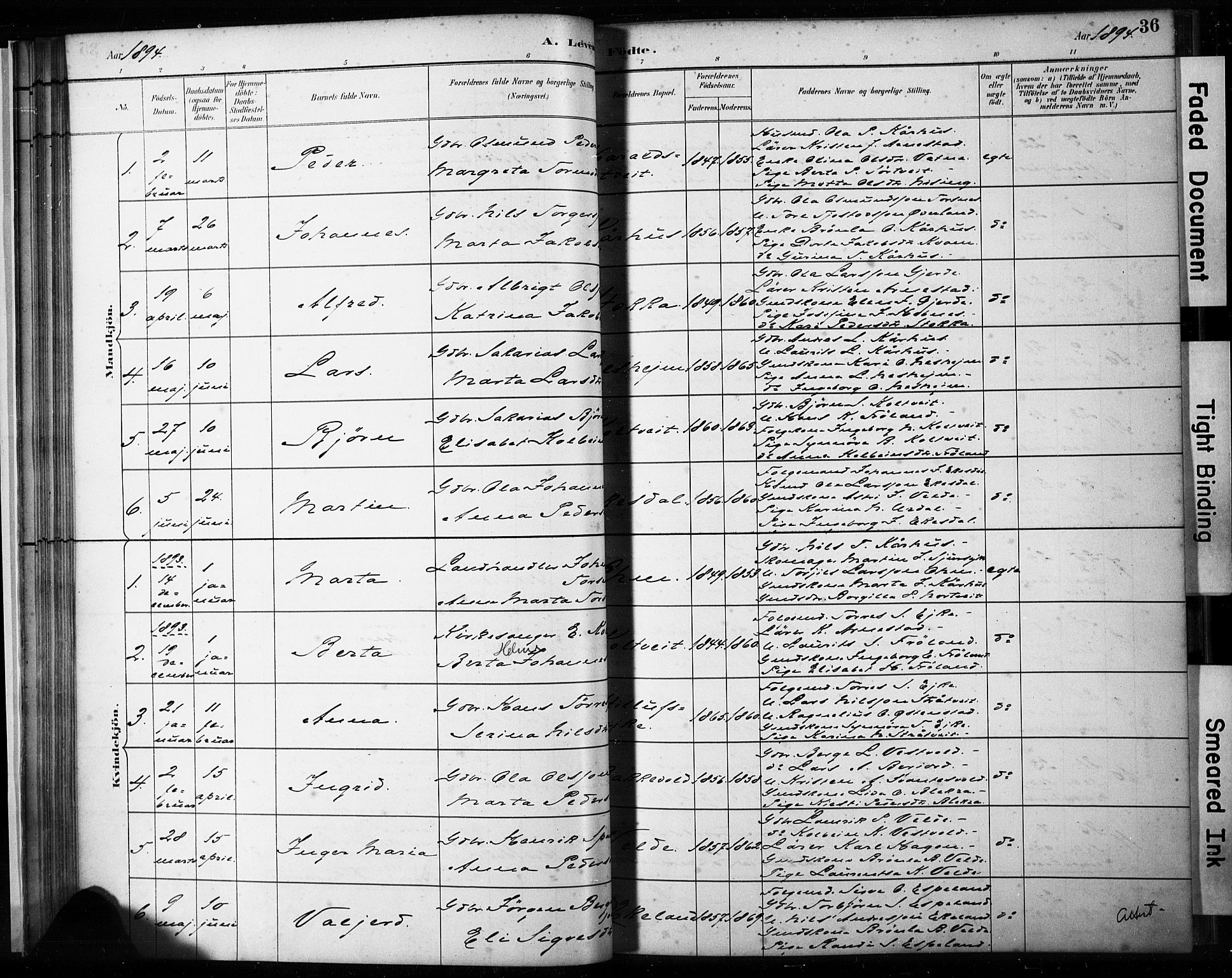 Skjold sokneprestkontor, AV/SAST-A-101847/H/Ha/Haa/L0009: Parish register (official) no. A 9, 1882-1898, p. 36