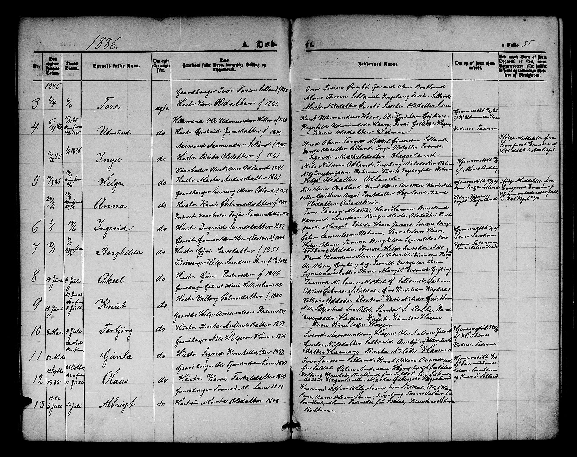 Røldal sokneprestembete, SAB/A-100247: Parish register (copy) no. A 2, 1861-1886, p. 55