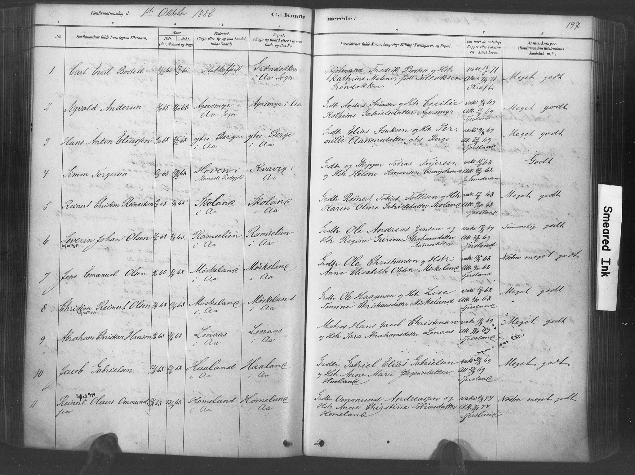 Lyngdal sokneprestkontor, AV/SAK-1111-0029/F/Fa/Fac/L0011: Parish register (official) no. A 11, 1878-1893, p. 197