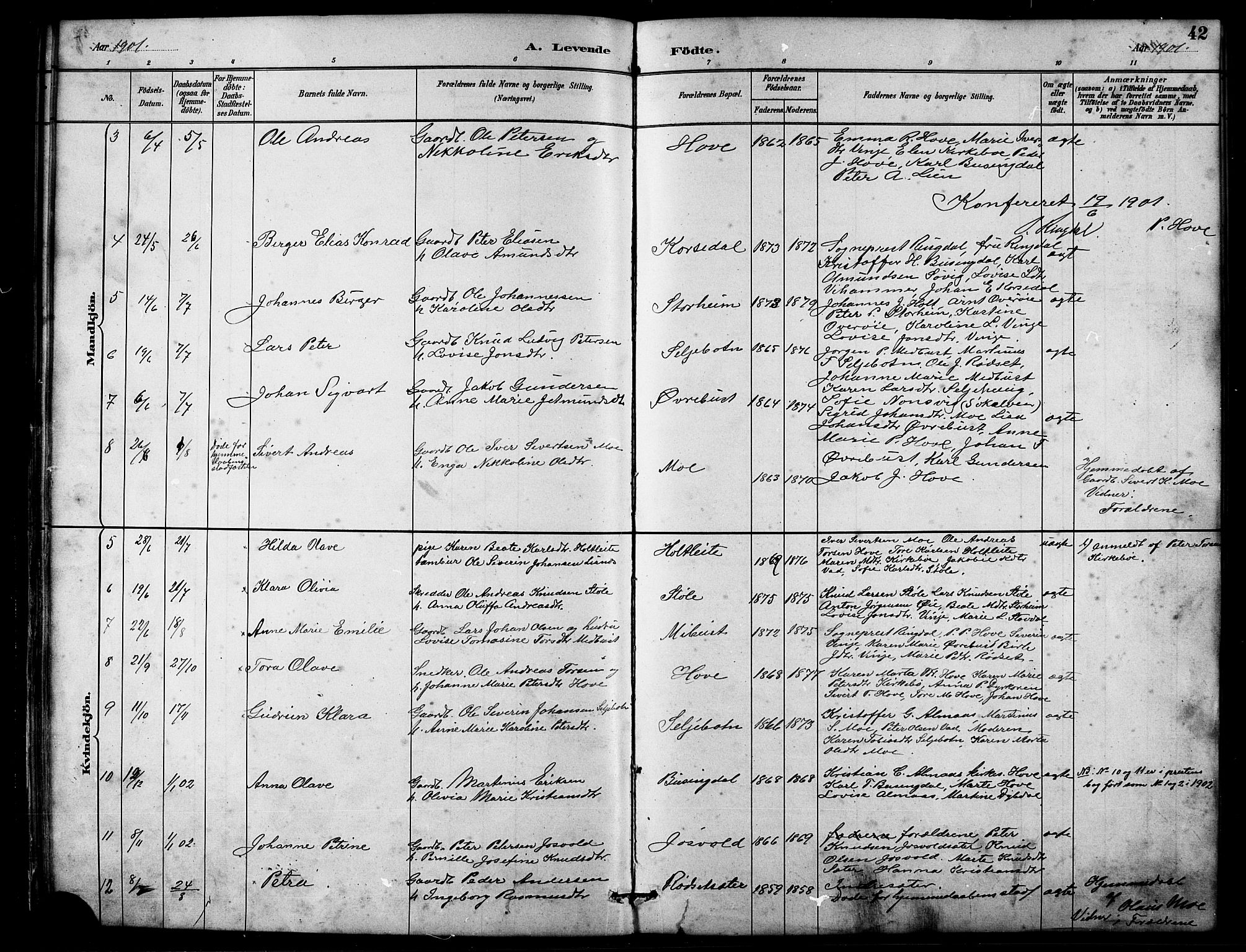 Ministerialprotokoller, klokkerbøker og fødselsregistre - Møre og Romsdal, AV/SAT-A-1454/521/L0302: Parish register (copy) no. 521C03, 1882-1907, p. 42