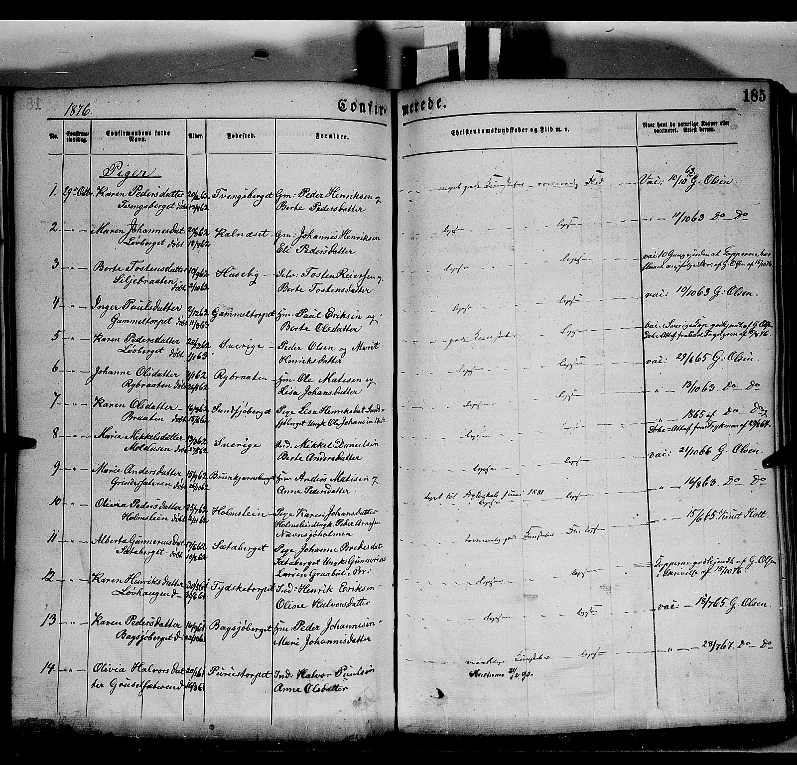 Grue prestekontor, AV/SAH-PREST-036/H/Ha/Haa/L0011: Parish register (official) no. 11, 1873-1880, p. 185