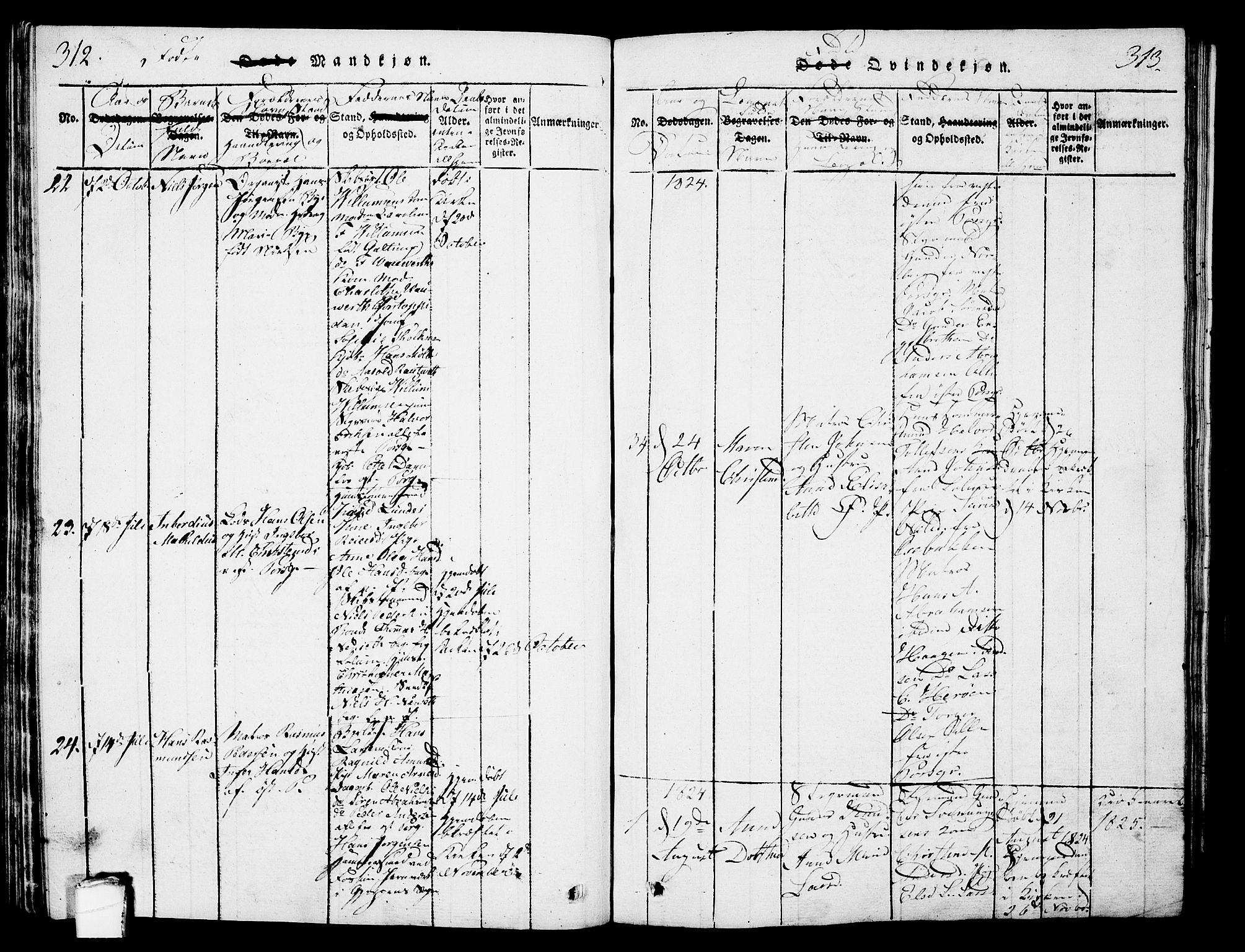 Porsgrunn kirkebøker , AV/SAKO-A-104/G/Gb/L0001: Parish register (copy) no. II 1, 1817-1828, p. 312-313