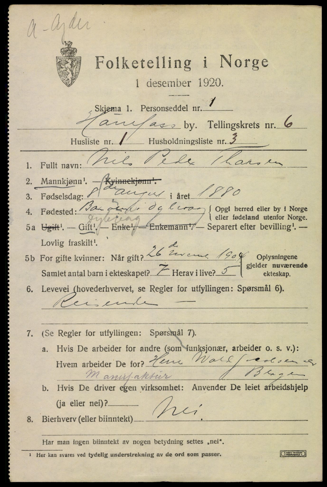 SAKO, 1920 census for Hønefoss, 1920, p. 6974