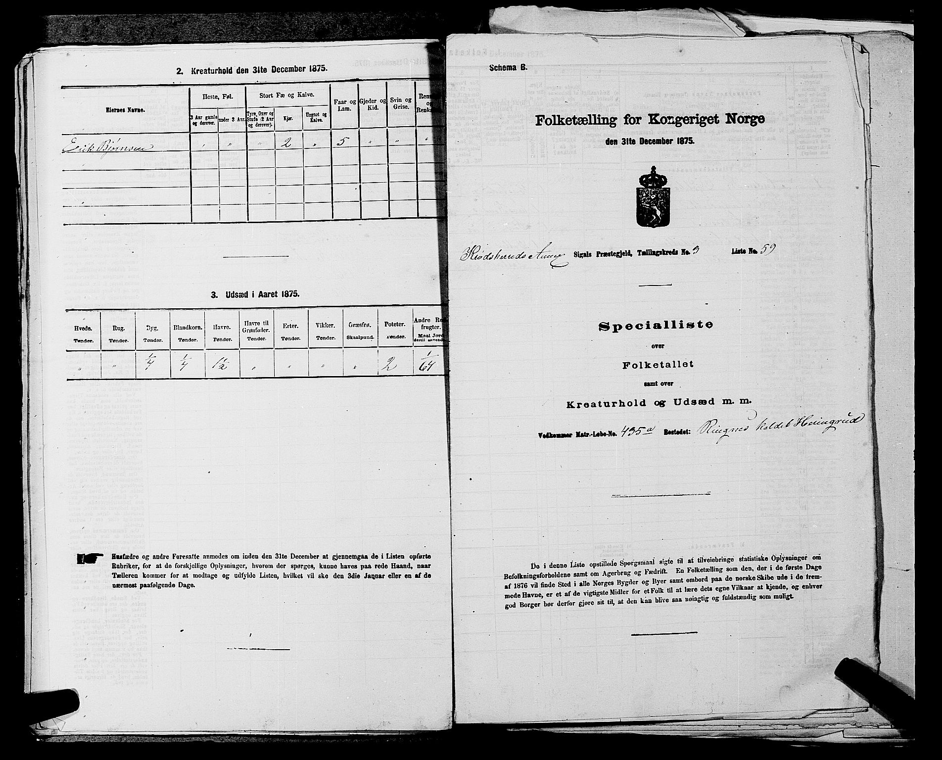 SAKO, 1875 census for 0621P Sigdal, 1875, p. 1599