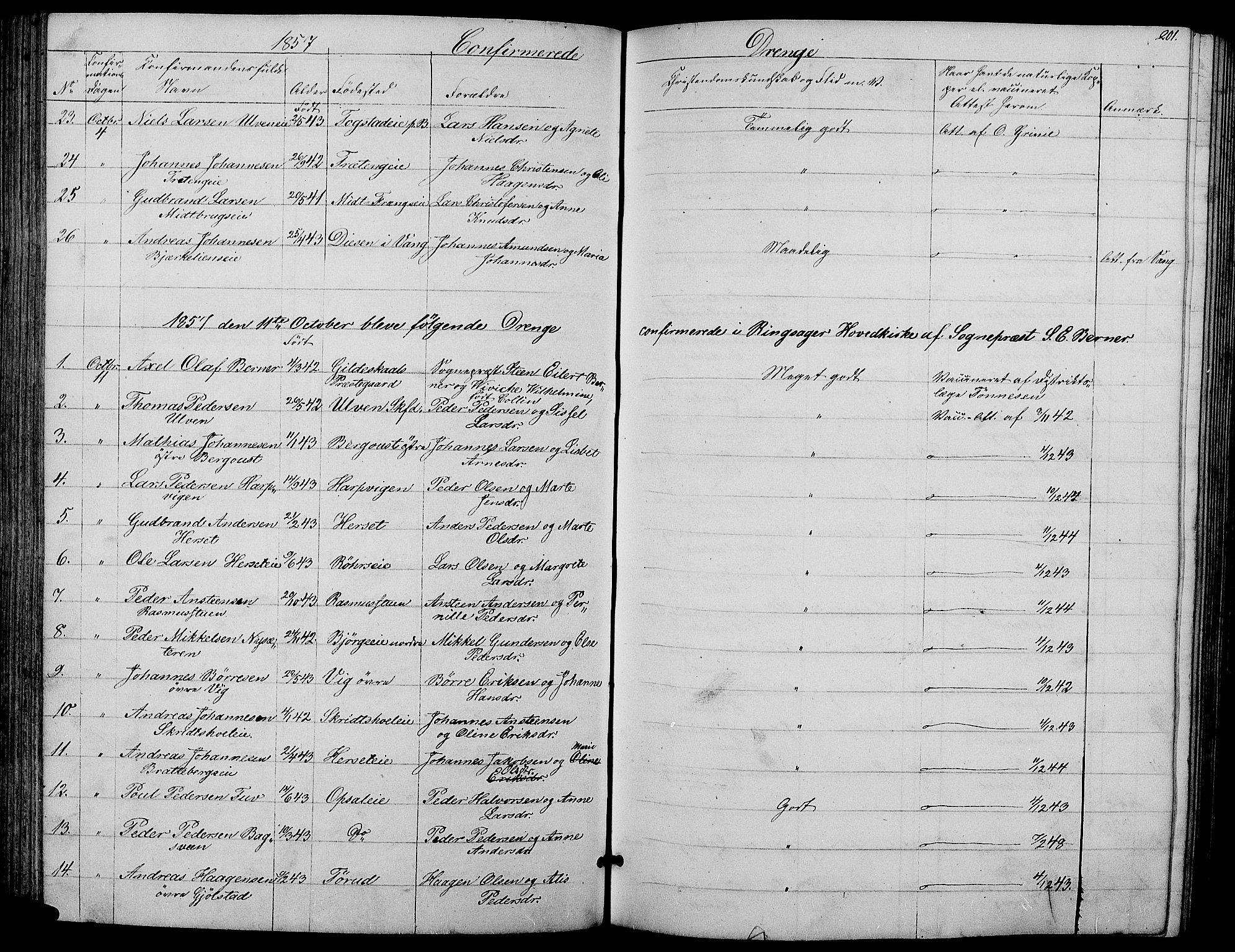 Ringsaker prestekontor, SAH/PREST-014/L/La/L0006: Parish register (copy) no. 6, 1851-1860, p. 201