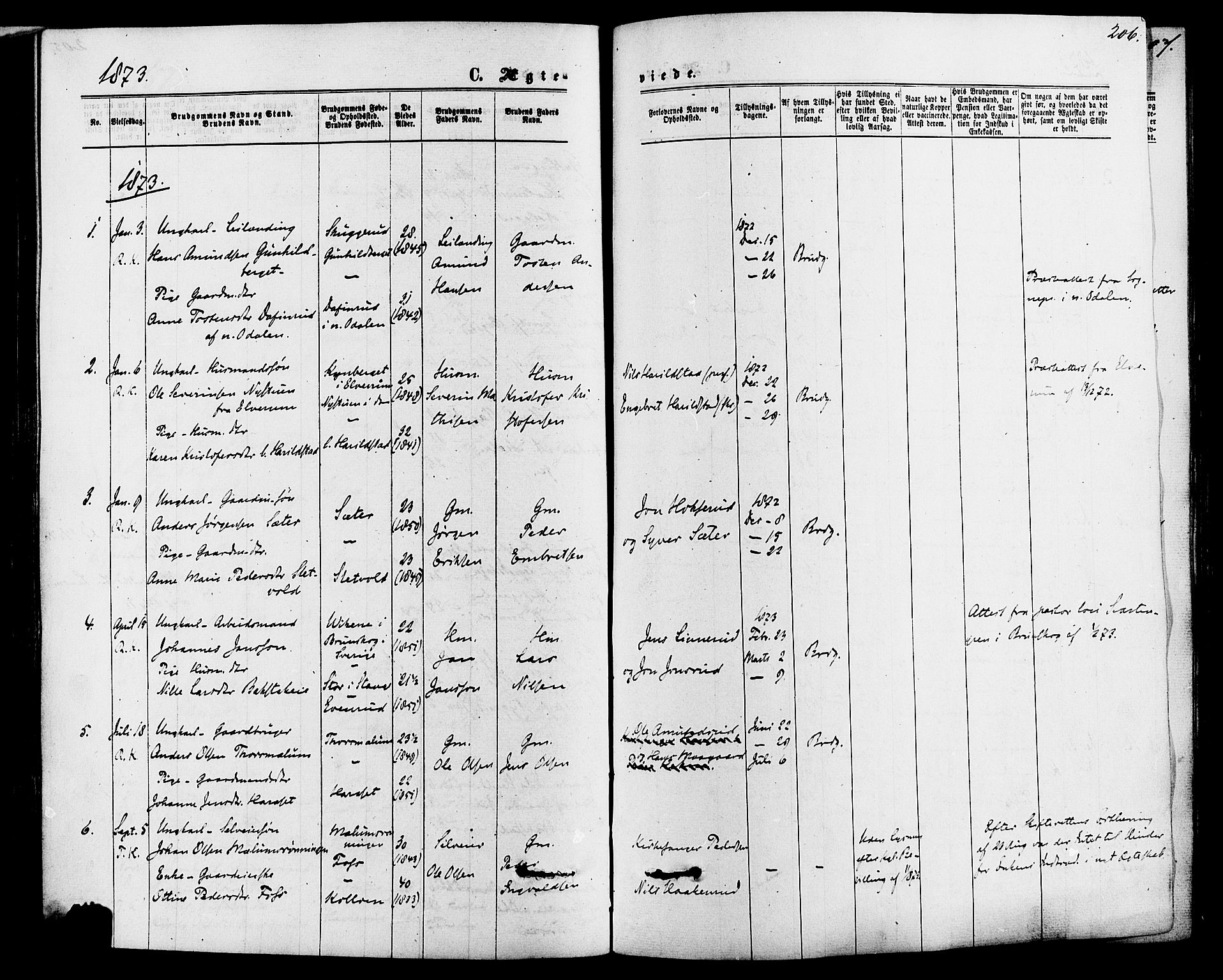 Romedal prestekontor, SAH/PREST-004/K/L0006: Parish register (official) no. 6, 1866-1886, p. 206
