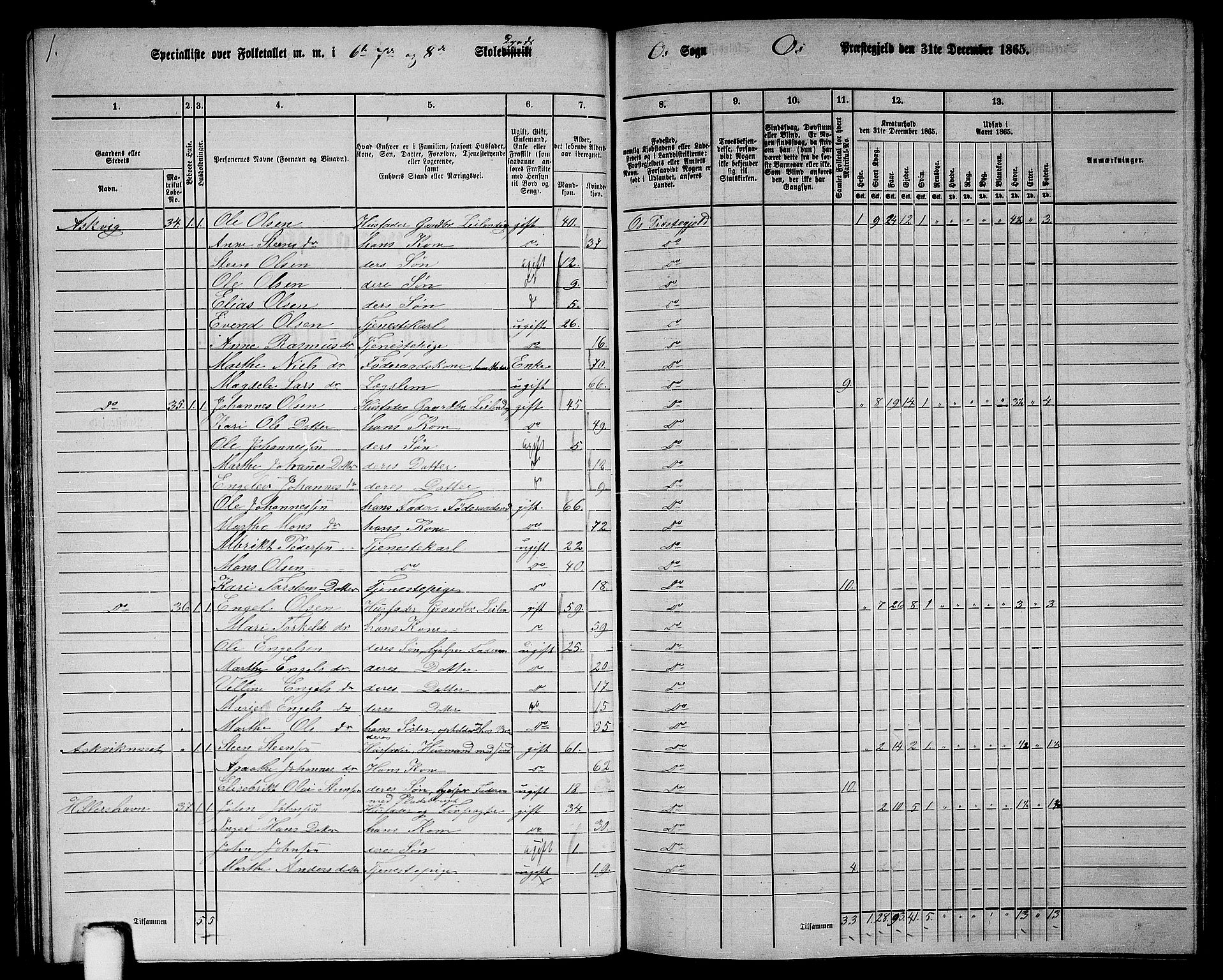 RA, 1865 census for Os, 1865, p. 30