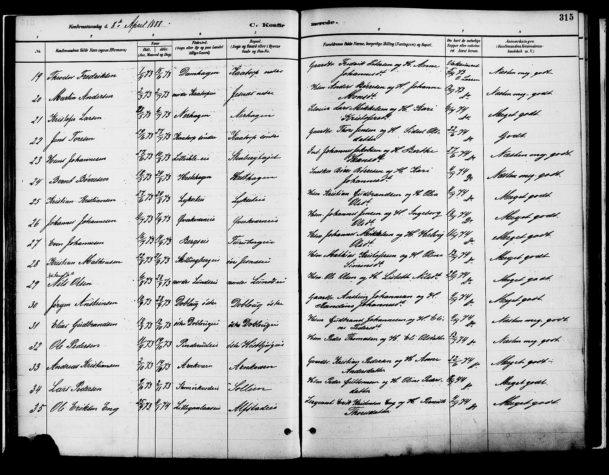 Vang prestekontor, Hedmark, AV/SAH-PREST-008/H/Ha/Haa/L0018B: Parish register (official) no. 18B, 1880-1906, p. 315