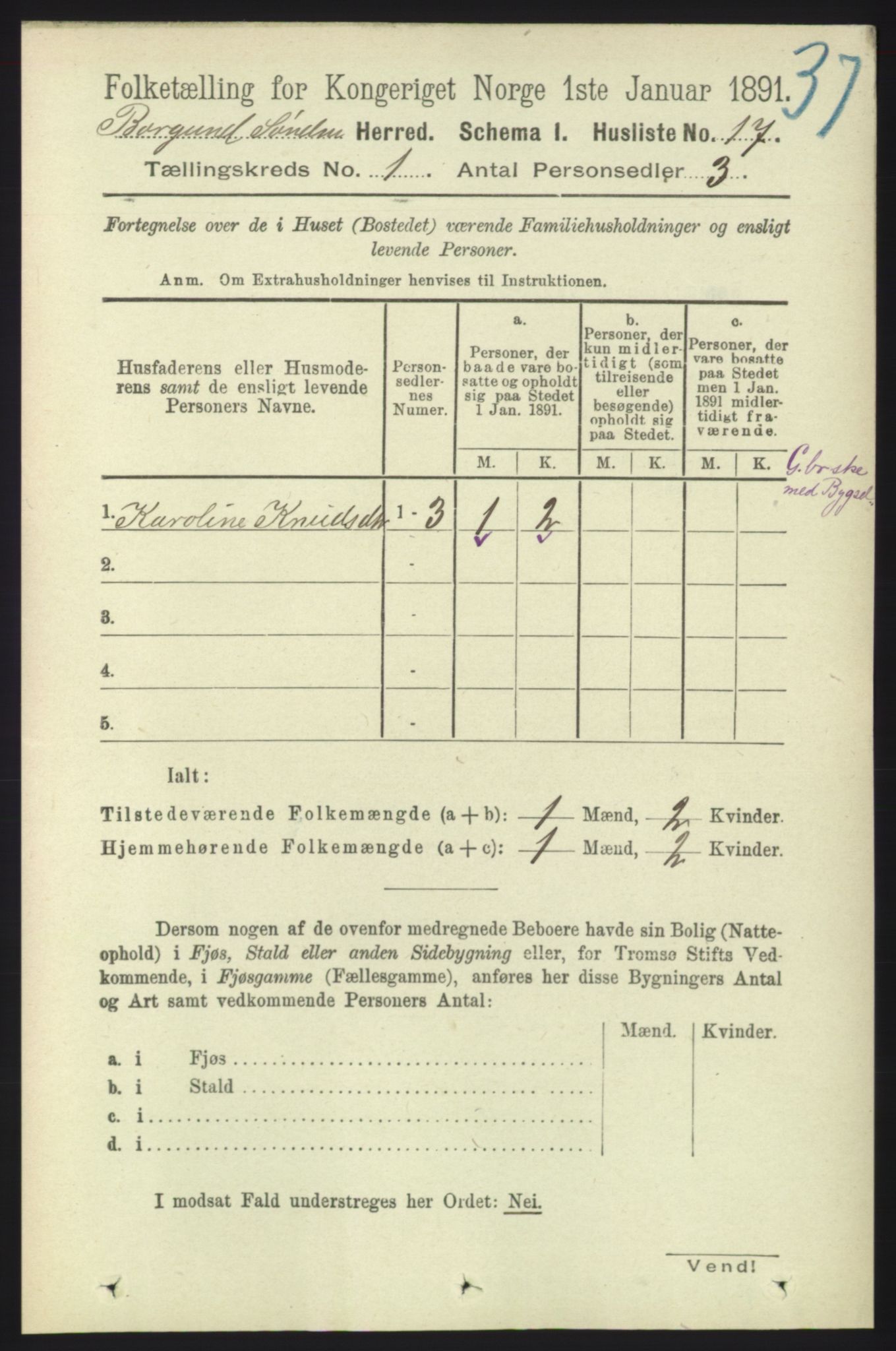 RA, 1891 census for 1531 Borgund, 1891, p. 77