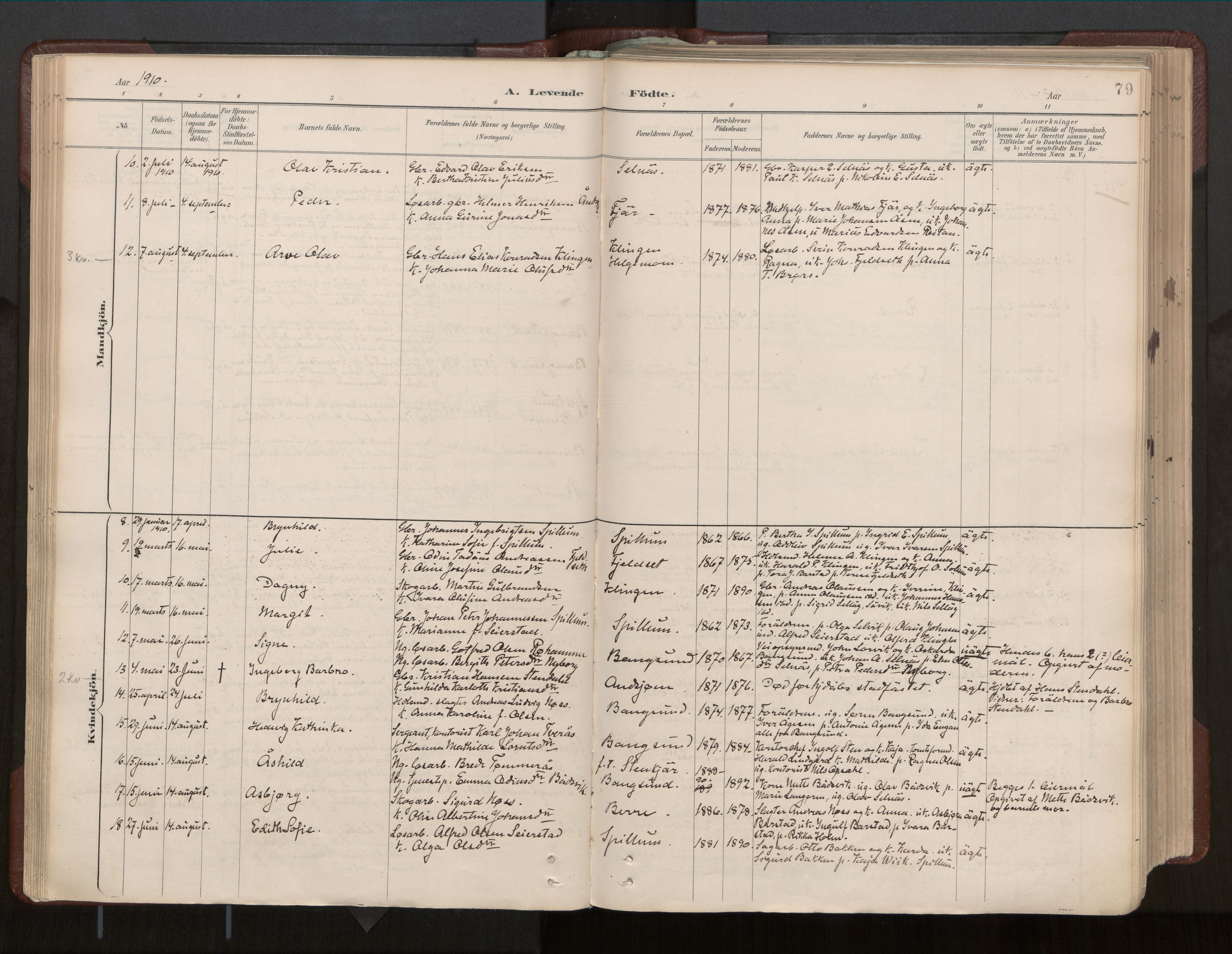 Ministerialprotokoller, klokkerbøker og fødselsregistre - Nord-Trøndelag, SAT/A-1458/770/L0589: Parish register (official) no. 770A03, 1887-1929, p. 79