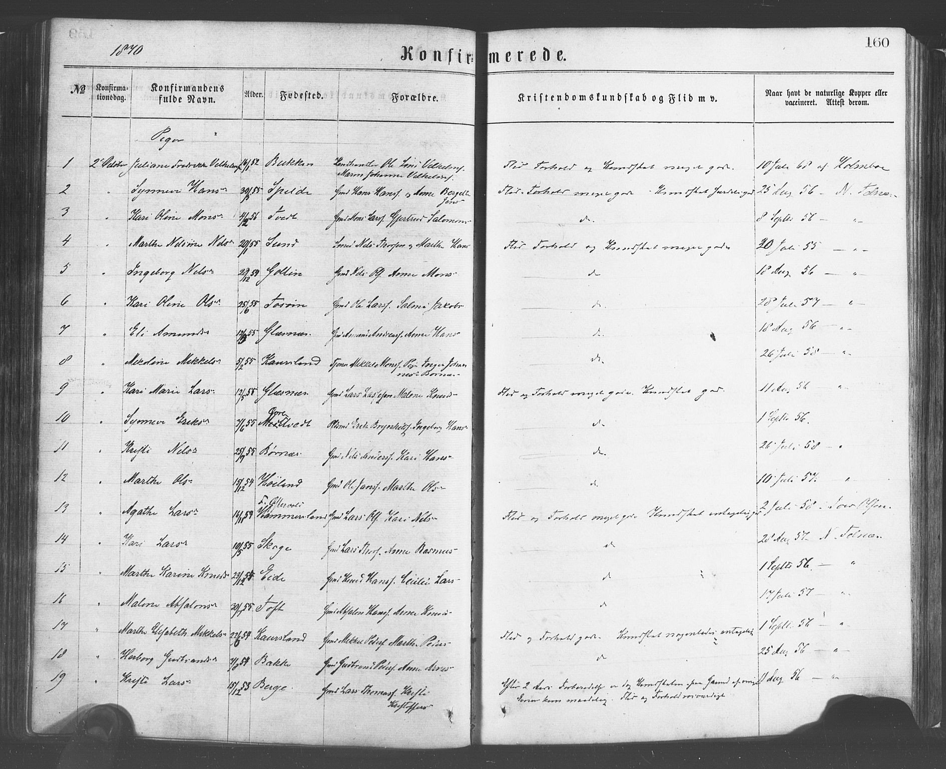 Sund sokneprestembete, AV/SAB-A-99930: Parish register (official) no. A 15, 1867-1881, p. 160