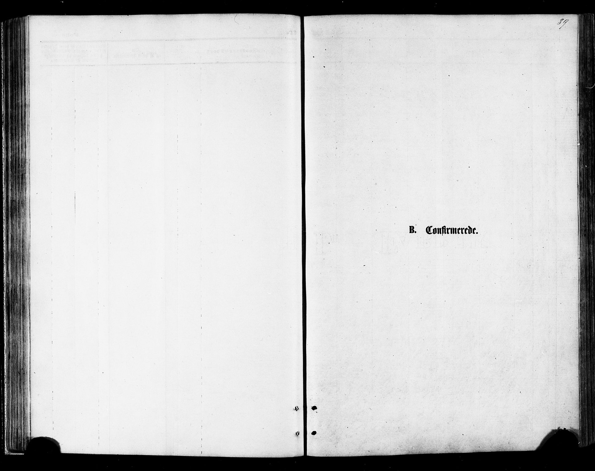 Ministerialprotokoller, klokkerbøker og fødselsregistre - Nordland, SAT/A-1459/895/L1370: Parish register (official) no. 895A05, 1873-1884, p. 89