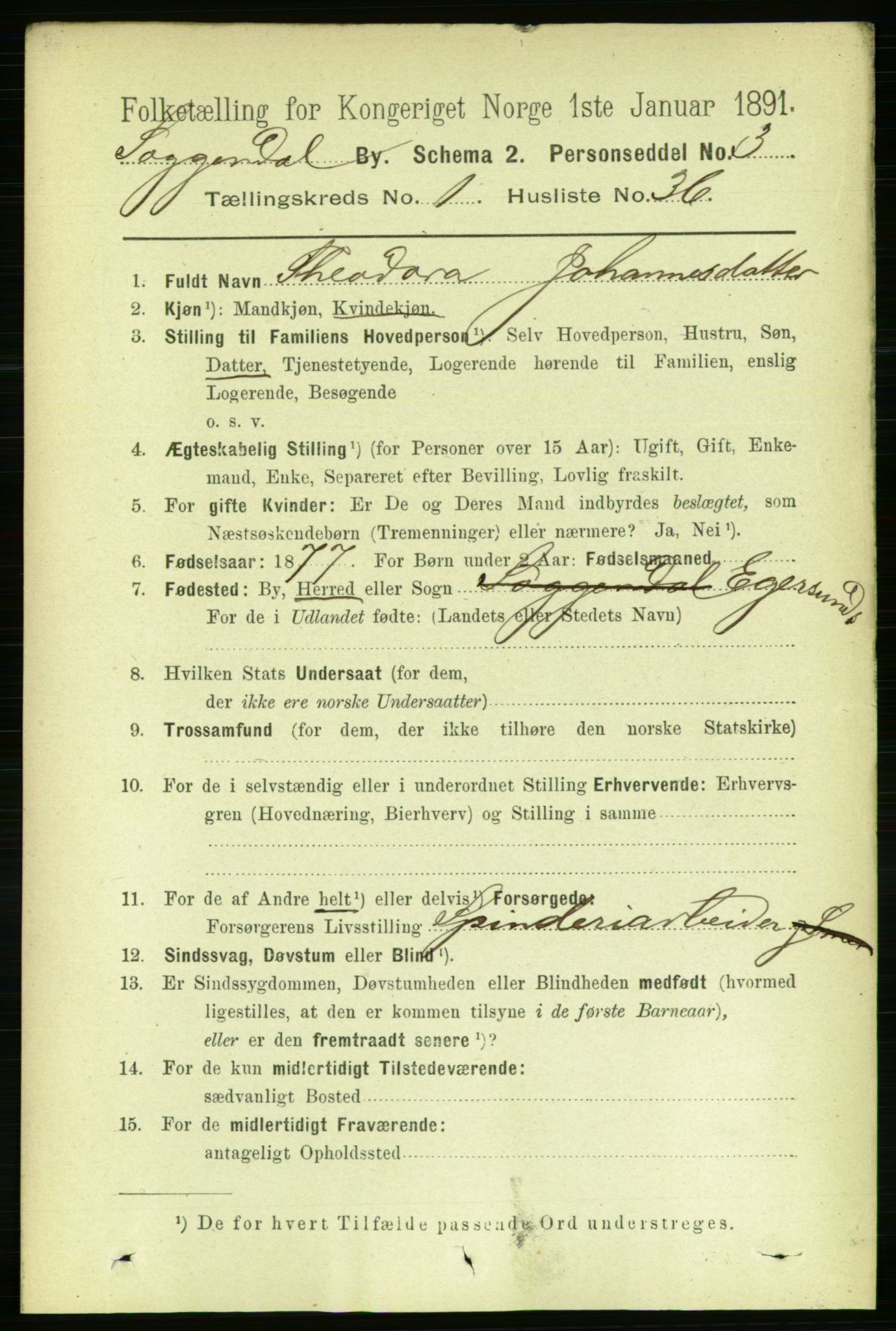 RA, 1891 census for 1107 Sokndal, 1891, p. 204