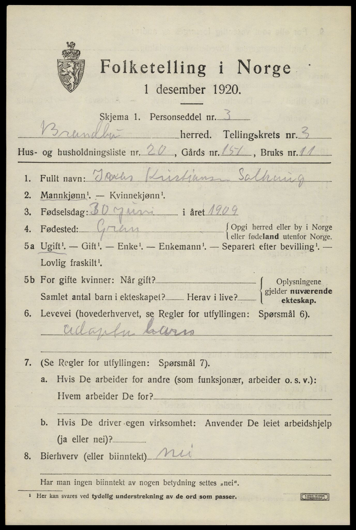 SAH, 1920 census for Brandbu, 1920, p. 8233