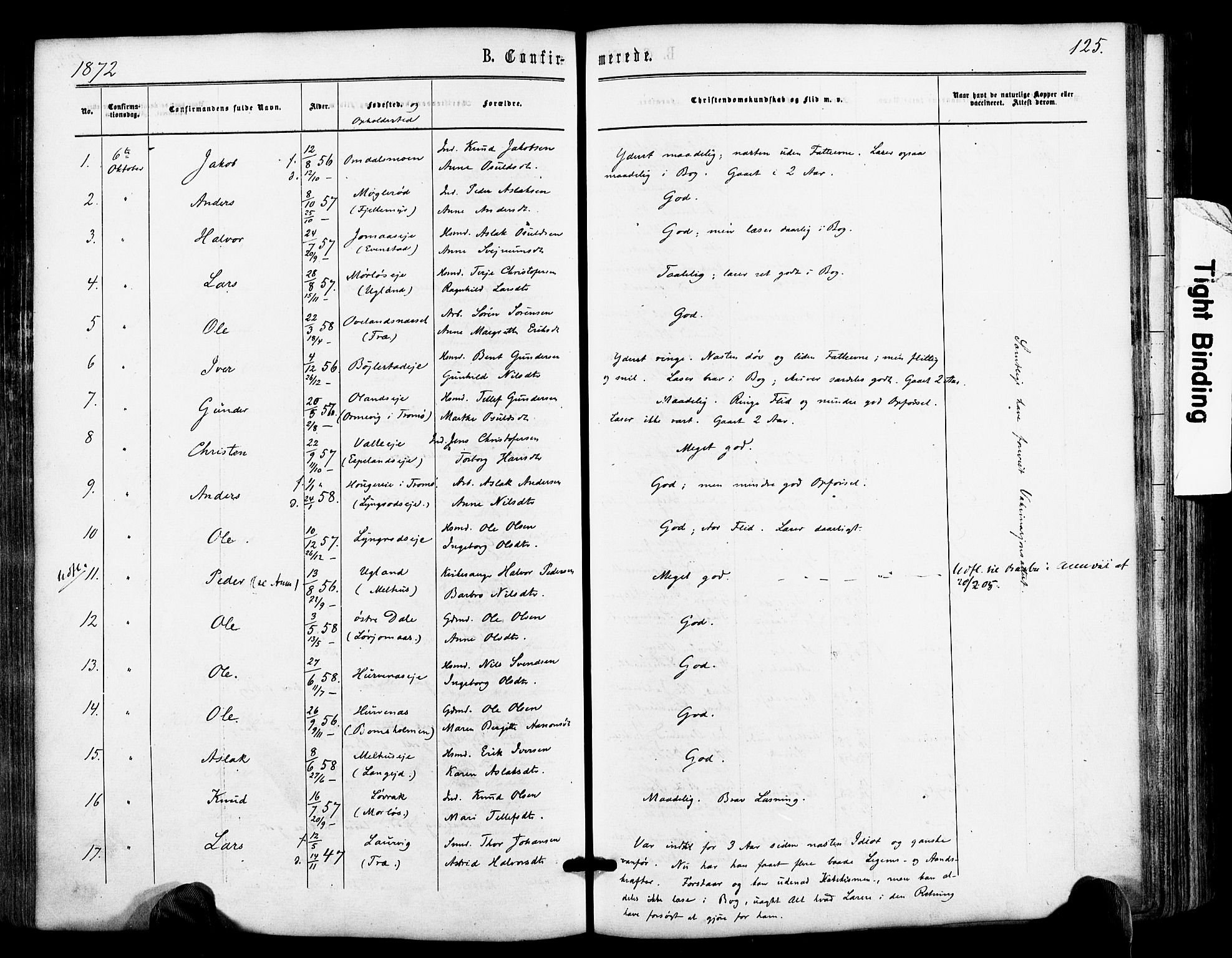 Froland sokneprestkontor, SAK/1111-0013/F/Fa/L0003: Parish register (official) no. A 3, 1864-1881, p. 125