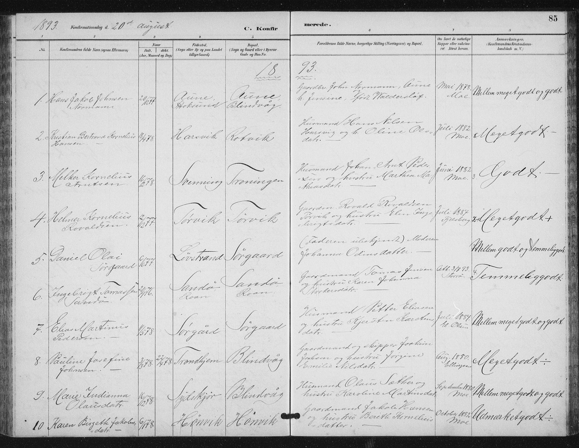 Ministerialprotokoller, klokkerbøker og fødselsregistre - Sør-Trøndelag, SAT/A-1456/656/L0698: Parish register (copy) no. 656C04, 1890-1904, p. 85