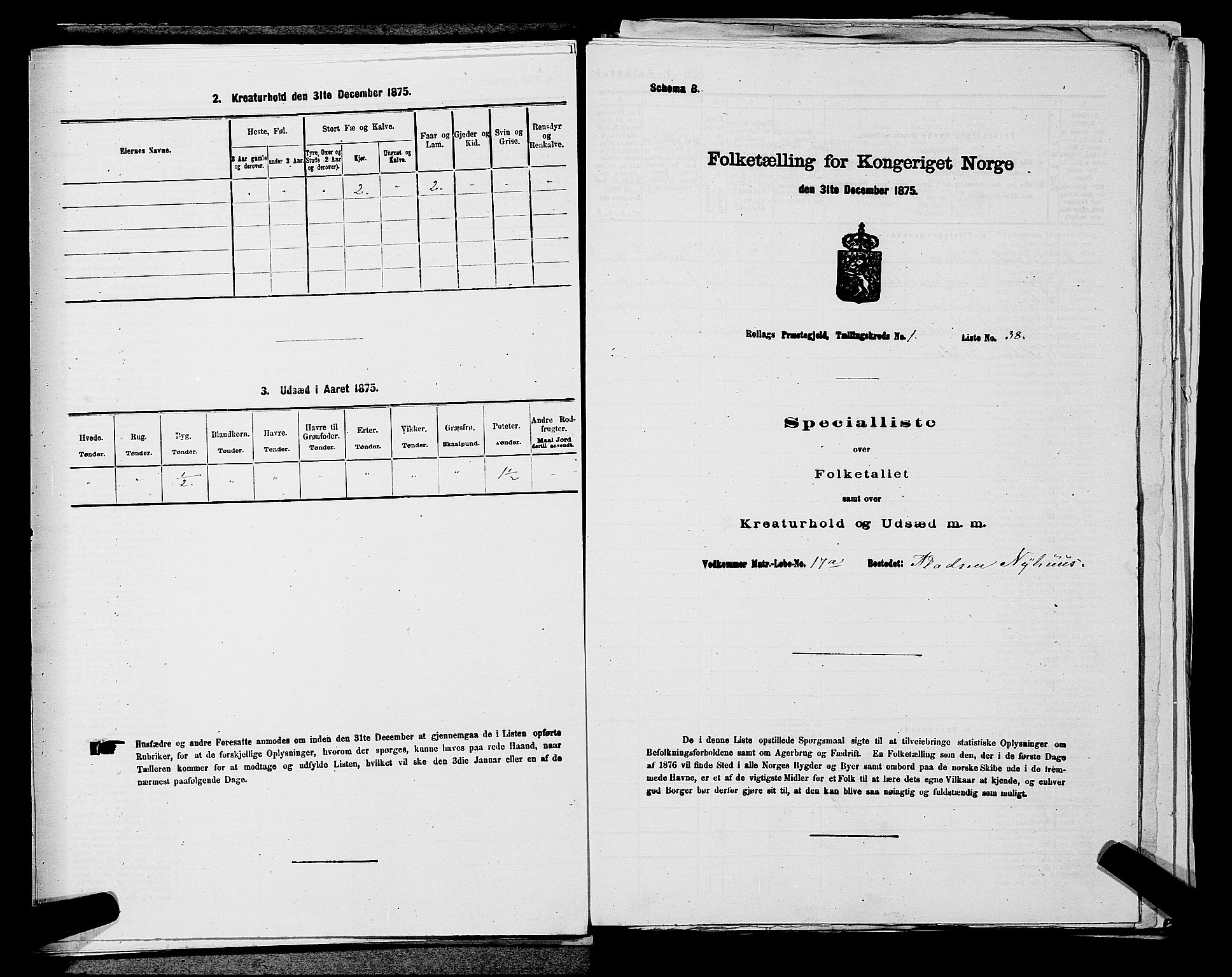 SAKO, 1875 census for 0632P Rollag, 1875, p. 118