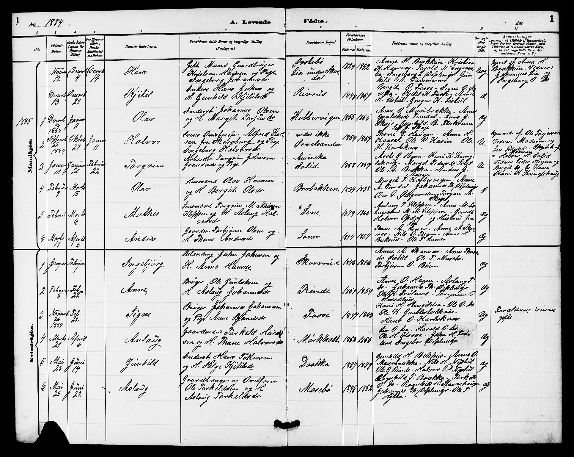 Hjartdal kirkebøker, SAKO/A-270/G/Gb/L0003: Parish register (copy) no. II 3, 1884-1899, p. 1