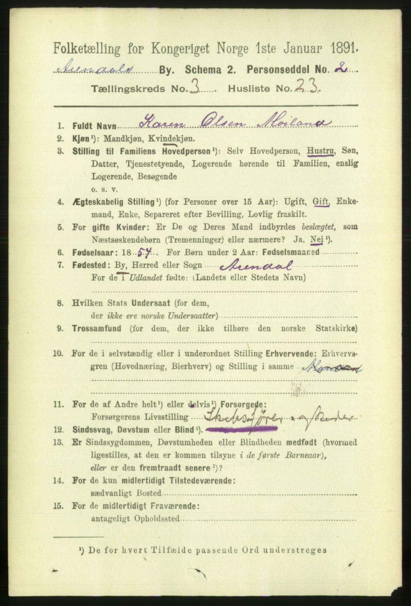 RA, 1891 census for 0903 Arendal, 1891, p. 1643