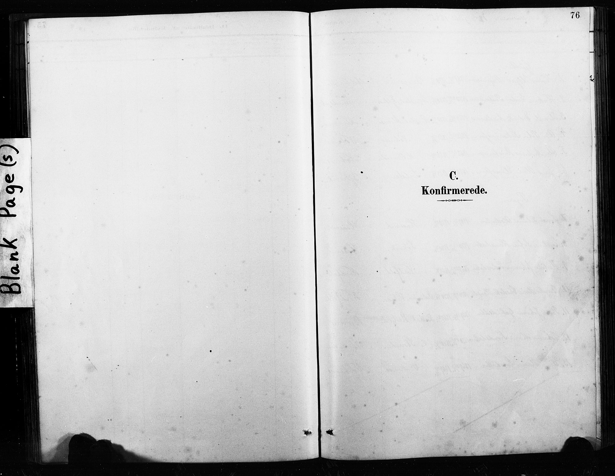 Ministerialprotokoller, klokkerbøker og fødselsregistre - Nordland, SAT/A-1459/858/L0834: Parish register (copy) no. 858C01, 1884-1904, p. 76