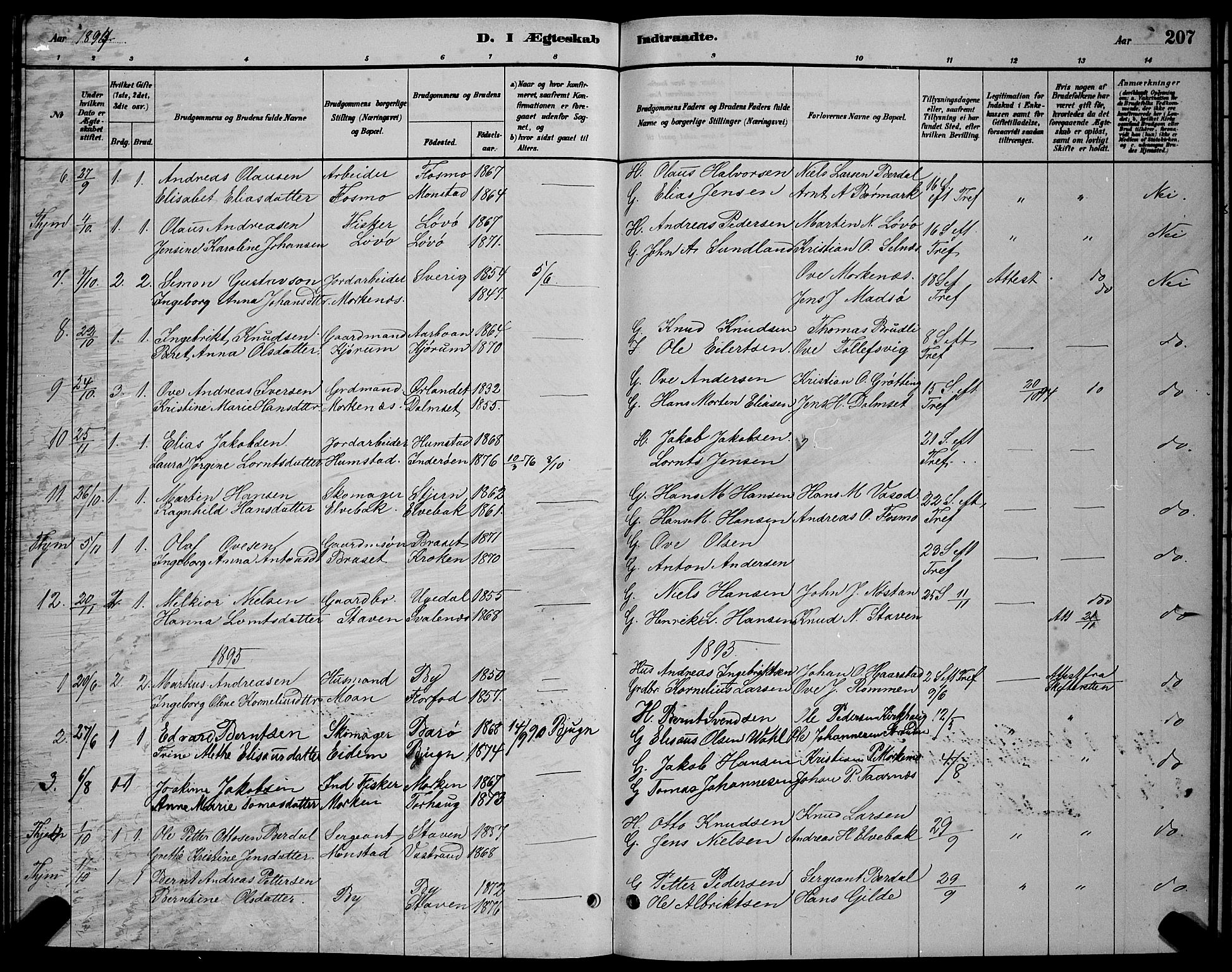Ministerialprotokoller, klokkerbøker og fødselsregistre - Sør-Trøndelag, SAT/A-1456/655/L0687: Parish register (copy) no. 655C03, 1880-1898, p. 207