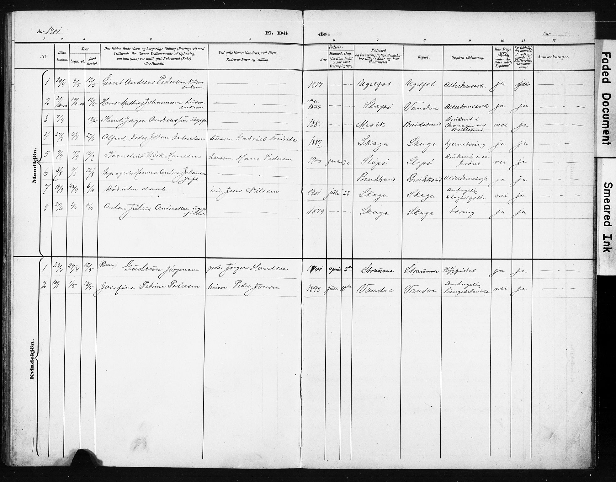 Ministerialprotokoller, klokkerbøker og fødselsregistre - Nordland, AV/SAT-A-1459/836/L0538: Parish register (copy) no. 836C02, 1901-1917