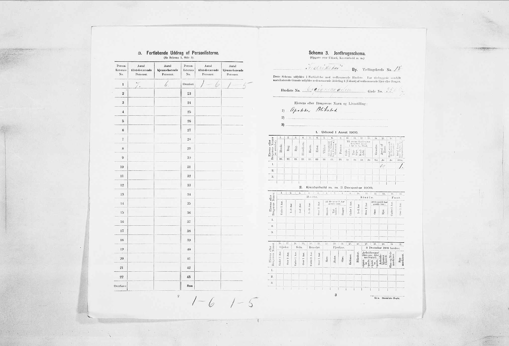 SAO, 1900 census for Fredrikstad, 1900