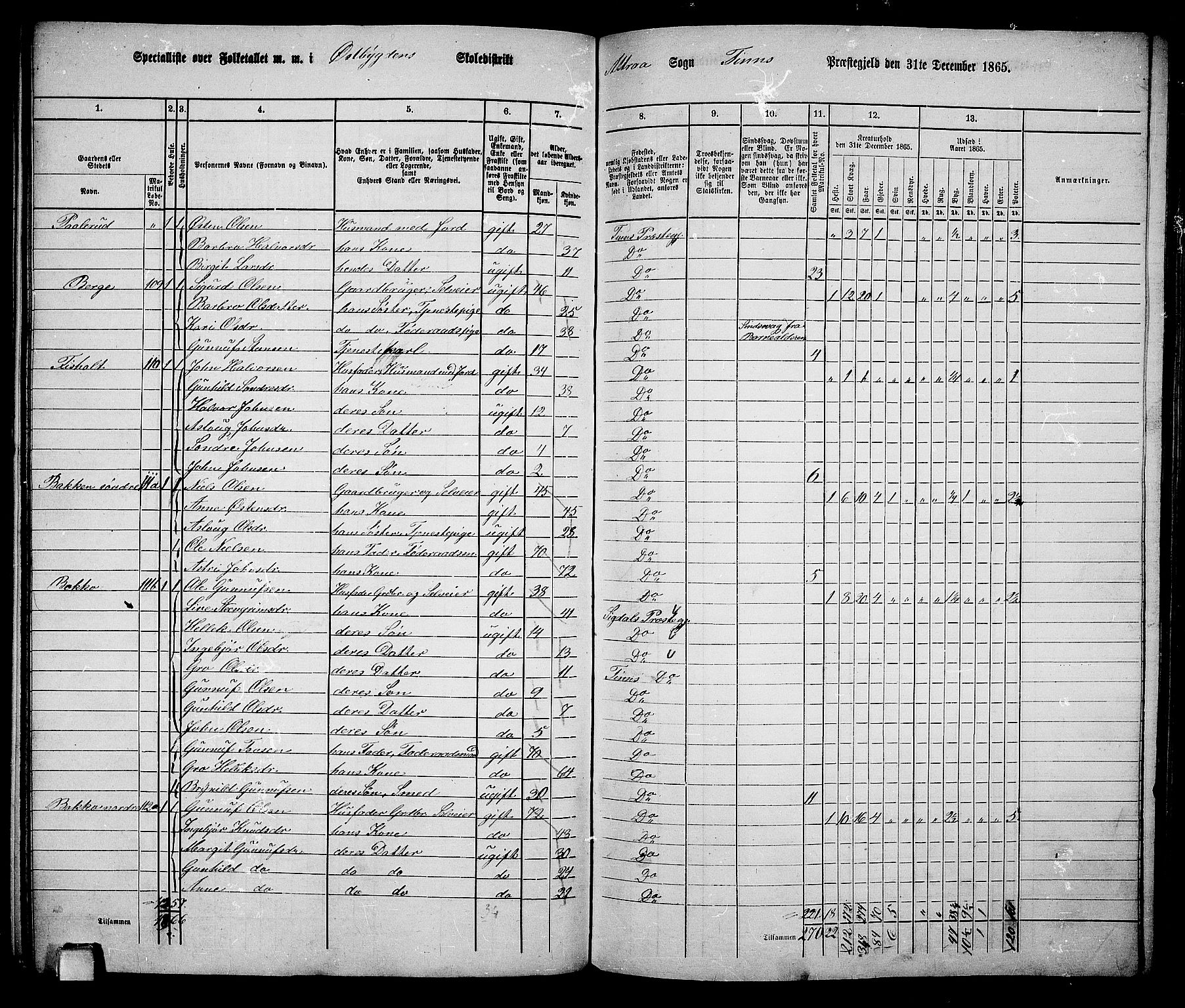 RA, 1865 census for Tinn, 1865, p. 17