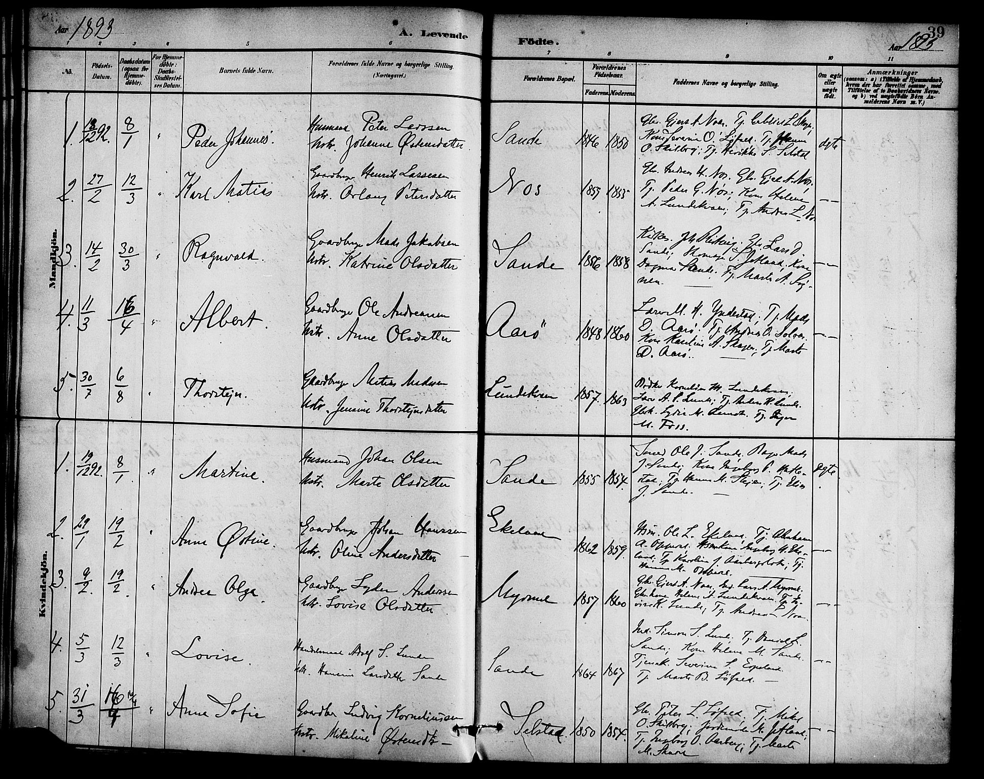Gaular sokneprestembete, SAB/A-80001/H/Haa: Parish register (official) no. B 1, 1882-1897, p. 39