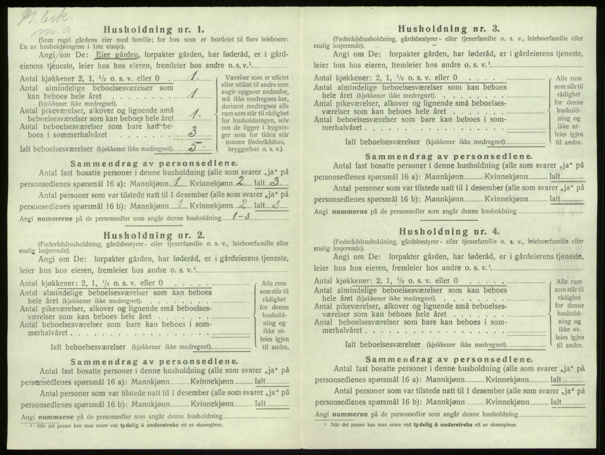 SAB, 1920 census for Lærdal, 1920, p. 298