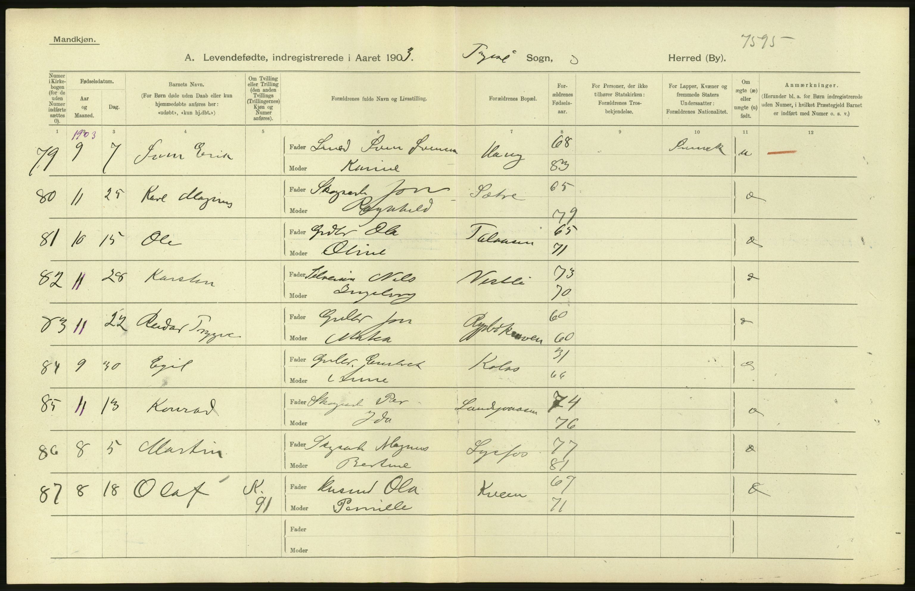 Statistisk sentralbyrå, Sosiodemografiske emner, Befolkning, AV/RA-S-2228/D/Df/Dfa/Dfaa/L0005: Hedemarkens amt: Fødte, gifte, døde, 1903, p. 10