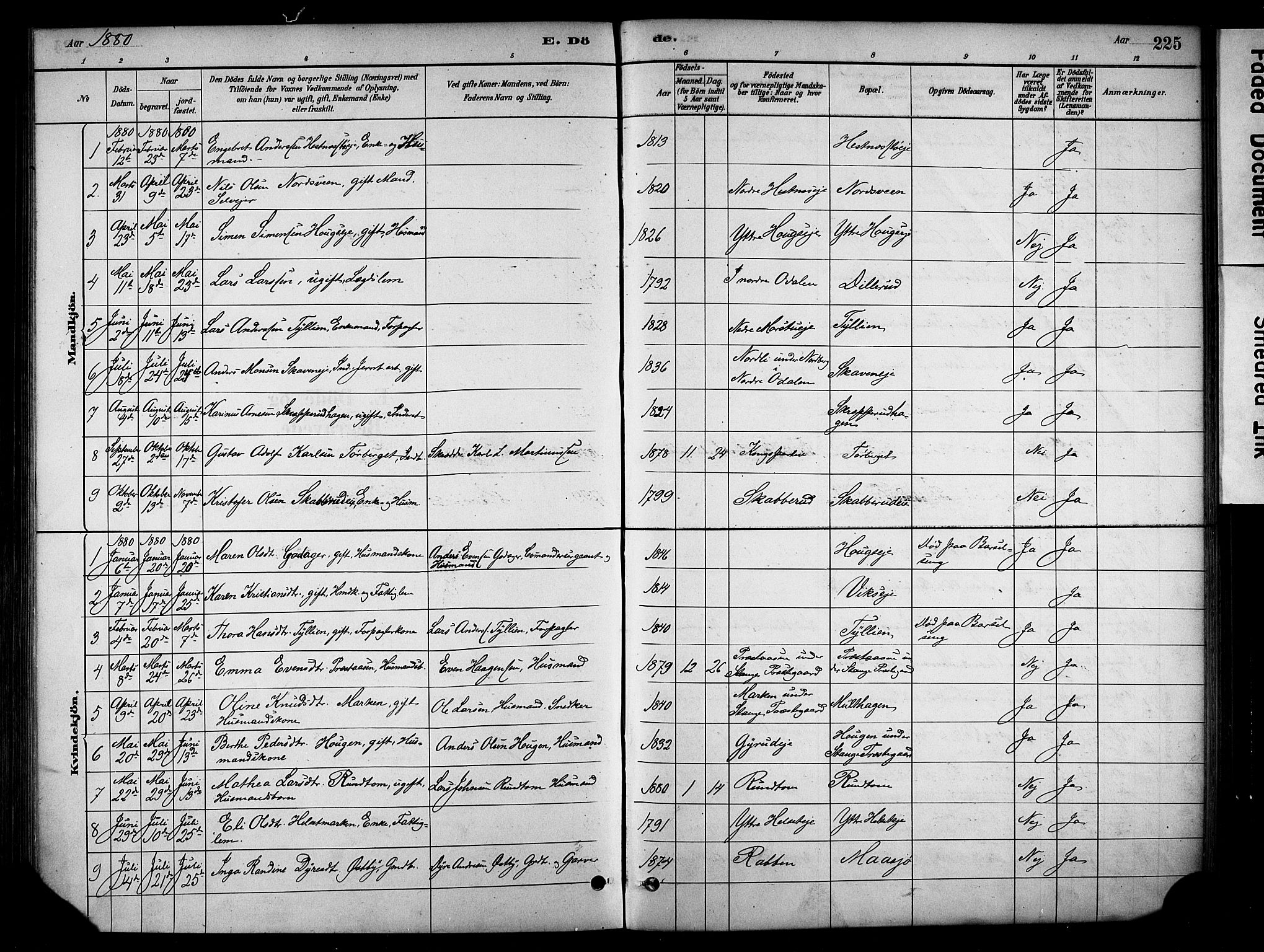 Stange prestekontor, SAH/PREST-002/K/L0018: Parish register (official) no. 18, 1880-1896, p. 225