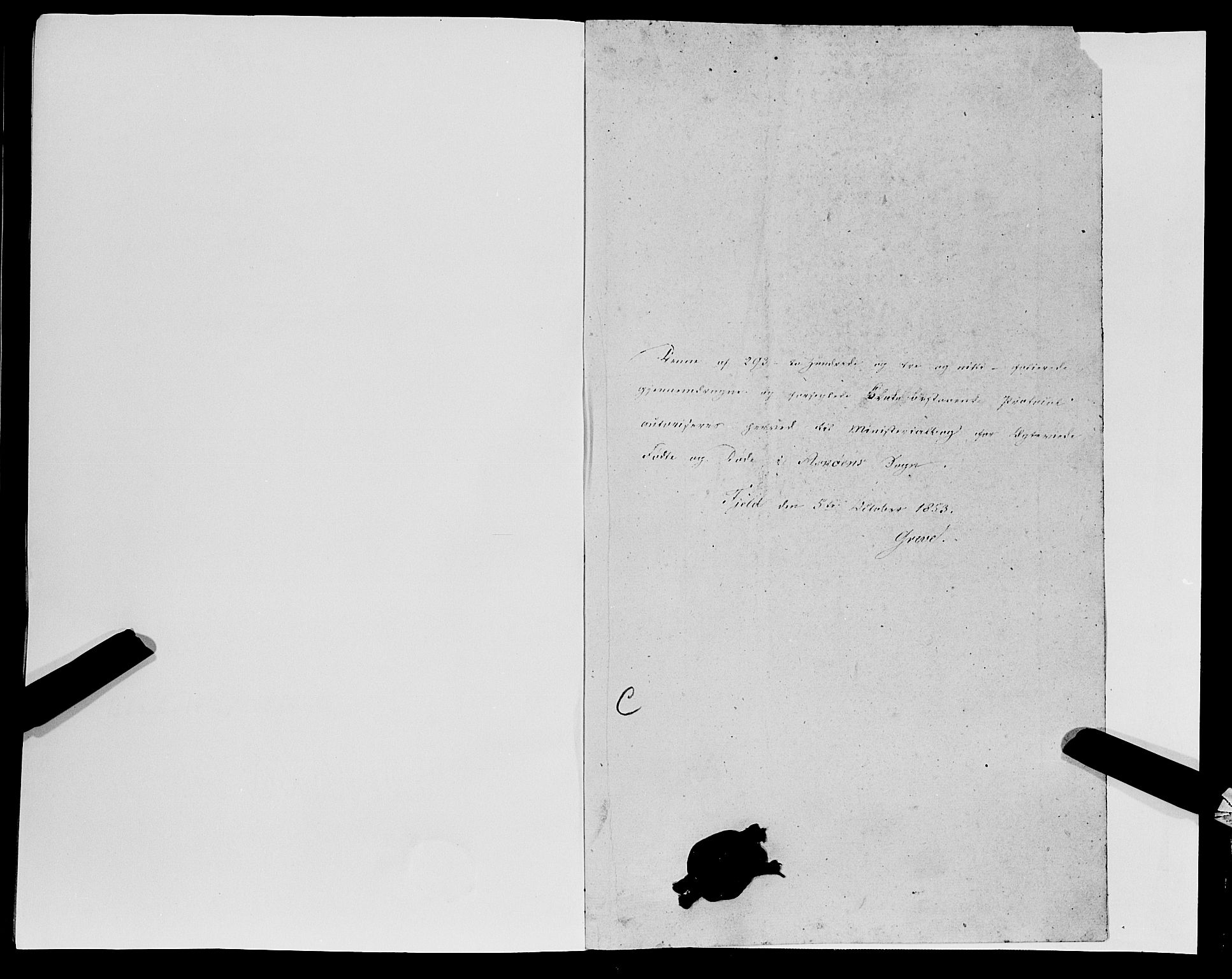 Askøy Sokneprestembete, SAB/A-74101/H/Ha/Haa/Haaa/L0008: Parish register (official) no. A 8, 1852-1862, p. 295