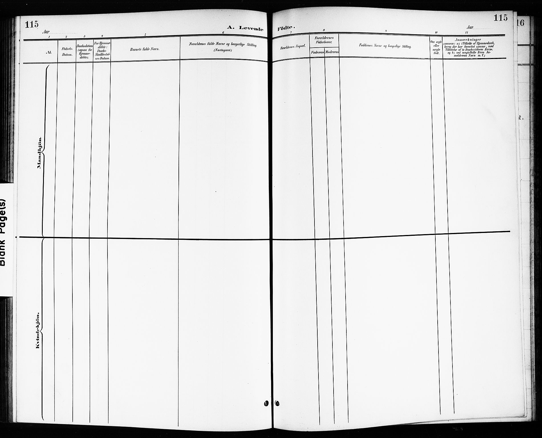 Drøbak prestekontor Kirkebøker, AV/SAO-A-10142a/G/Gb/L0001: Parish register (copy) no. II 1, 1901-1919, p. 115