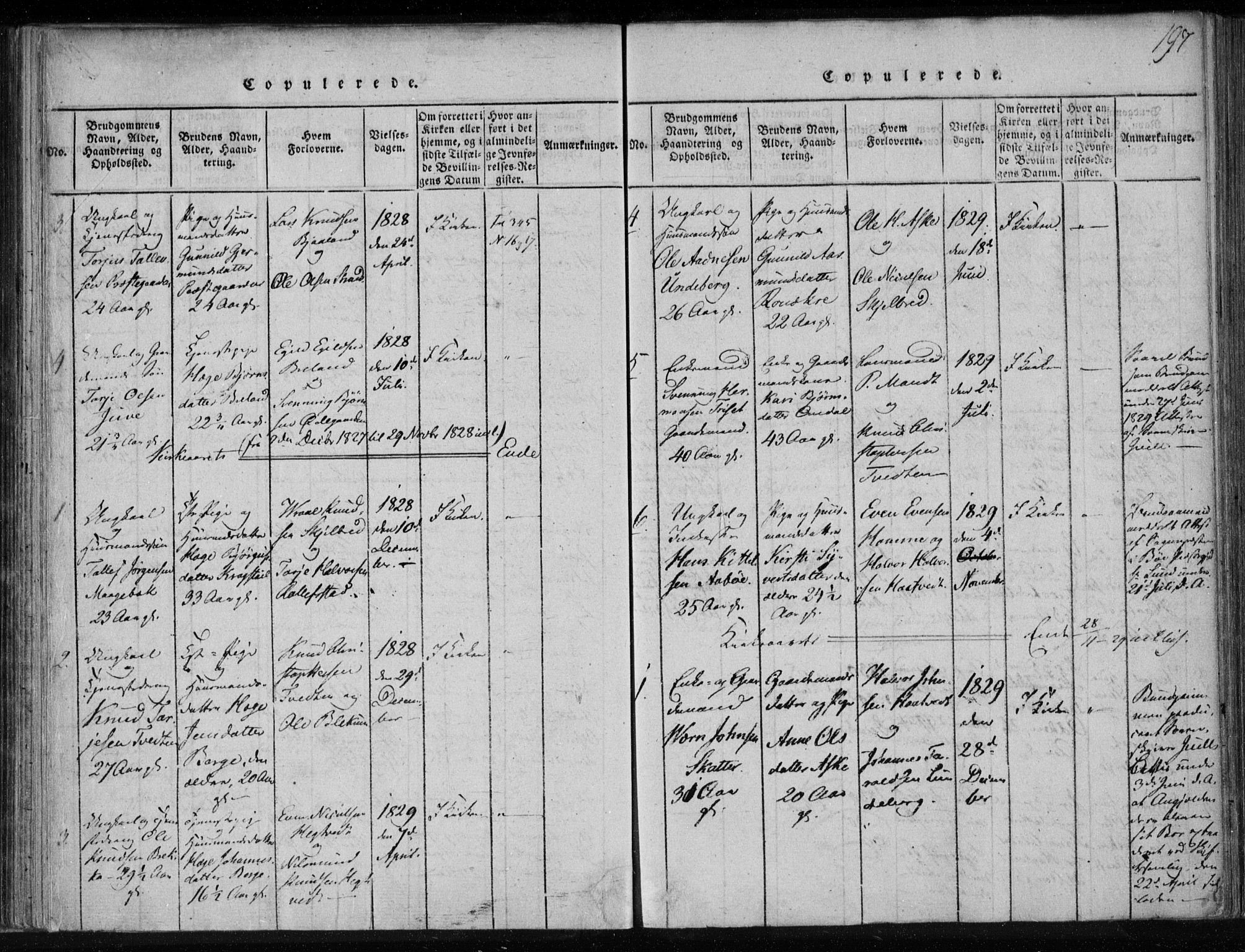 Lårdal kirkebøker, SAKO/A-284/F/Fa/L0005: Parish register (official) no. I 5, 1815-1860, p. 197