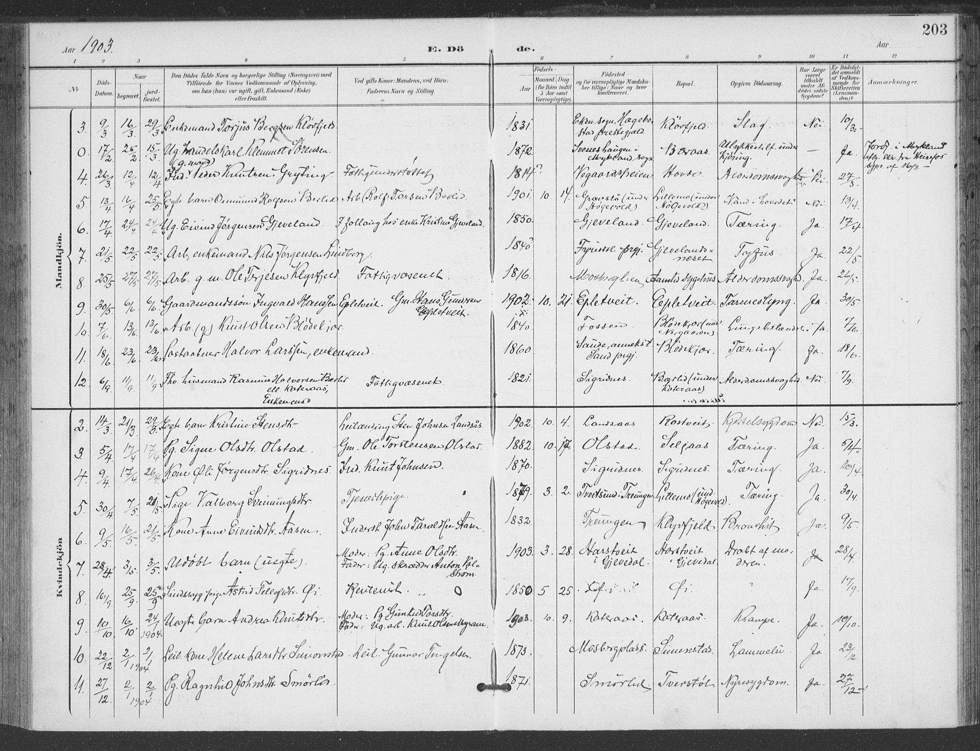 Åmli sokneprestkontor, AV/SAK-1111-0050/F/Fa/Fac/L0012: Parish register (official) no. A 12, 1900-1914, p. 203