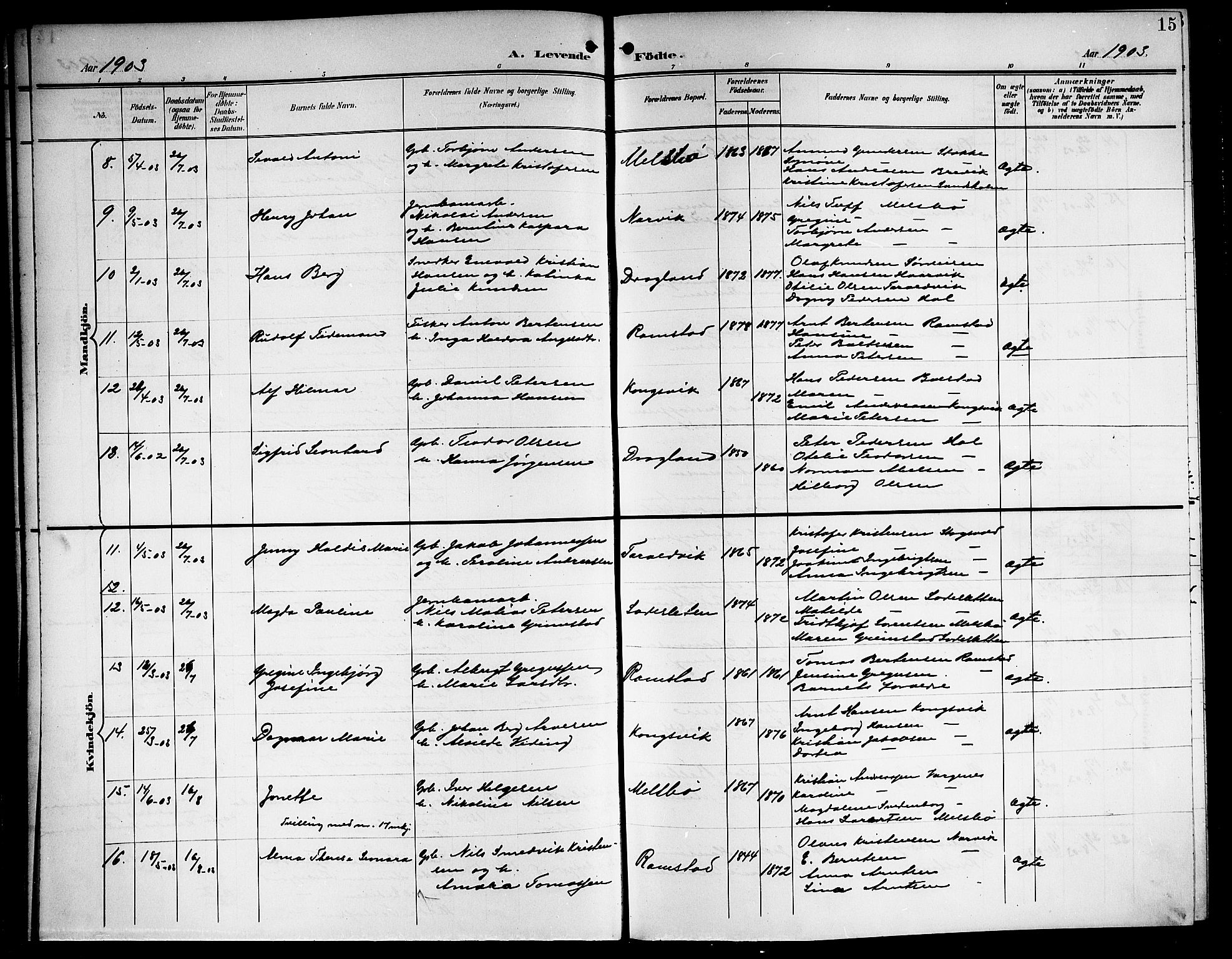 Ministerialprotokoller, klokkerbøker og fødselsregistre - Nordland, AV/SAT-A-1459/865/L0932: Parish register (copy) no. 865C04, 1901-1917, p. 15