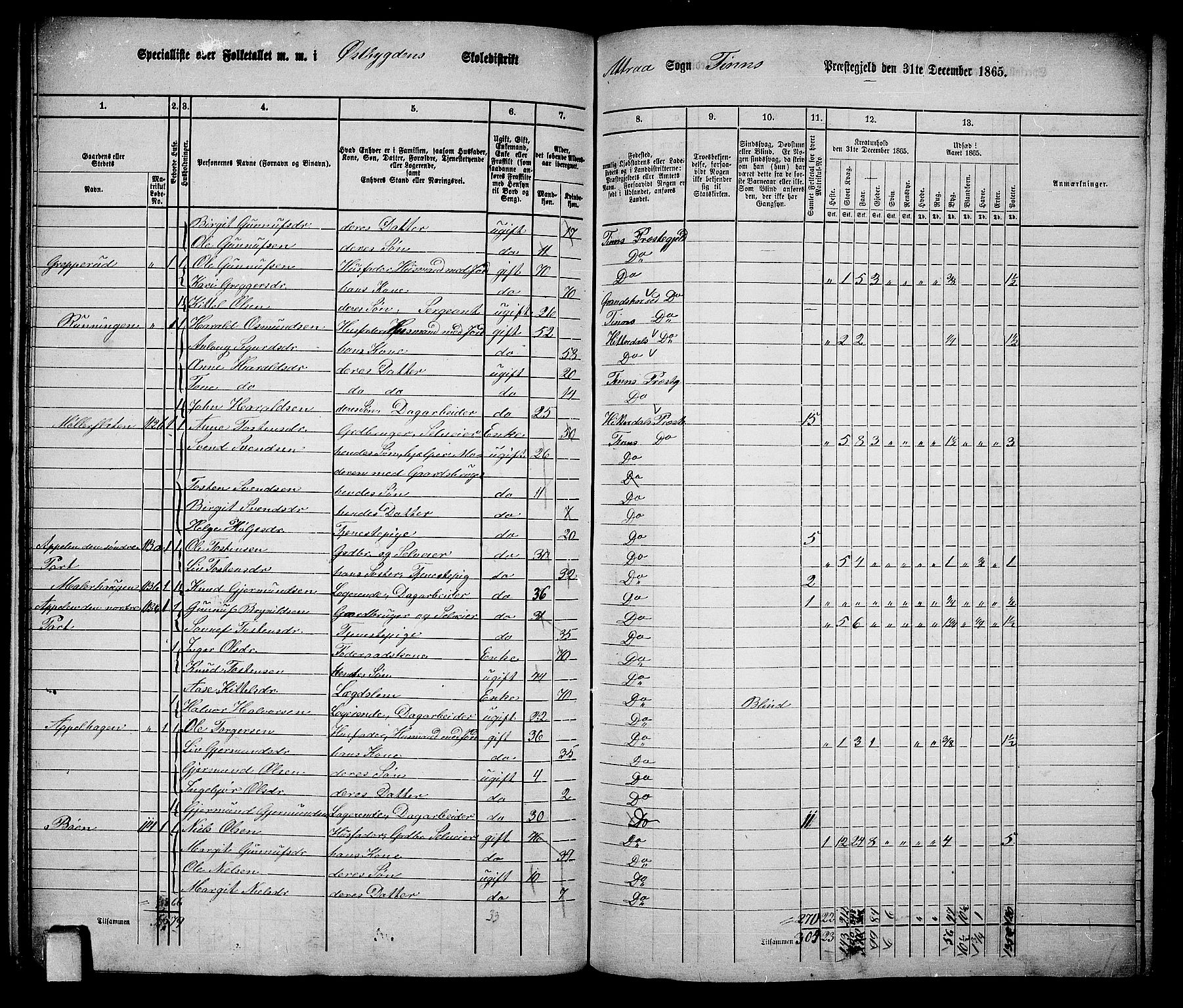 RA, 1865 census for Tinn, 1865, p. 18