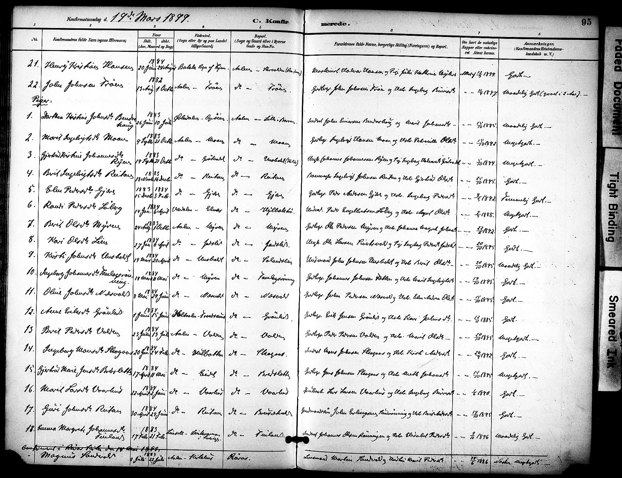 Ministerialprotokoller, klokkerbøker og fødselsregistre - Sør-Trøndelag, SAT/A-1456/686/L0984: Parish register (official) no. 686A02, 1891-1906, p. 95