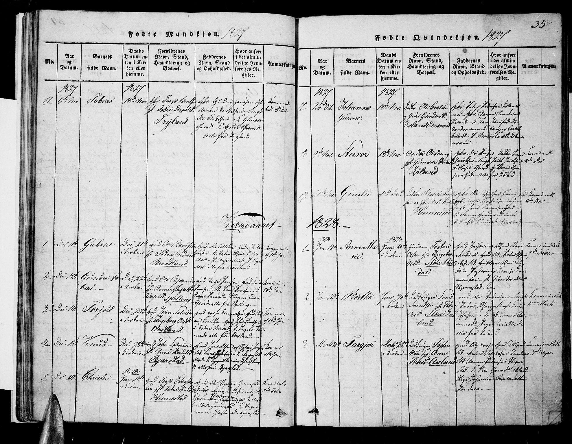 Nord-Audnedal sokneprestkontor, SAK/1111-0032/F/Fa/Fab/L0001: Parish register (official) no. A 1, 1816-1858, p. 35
