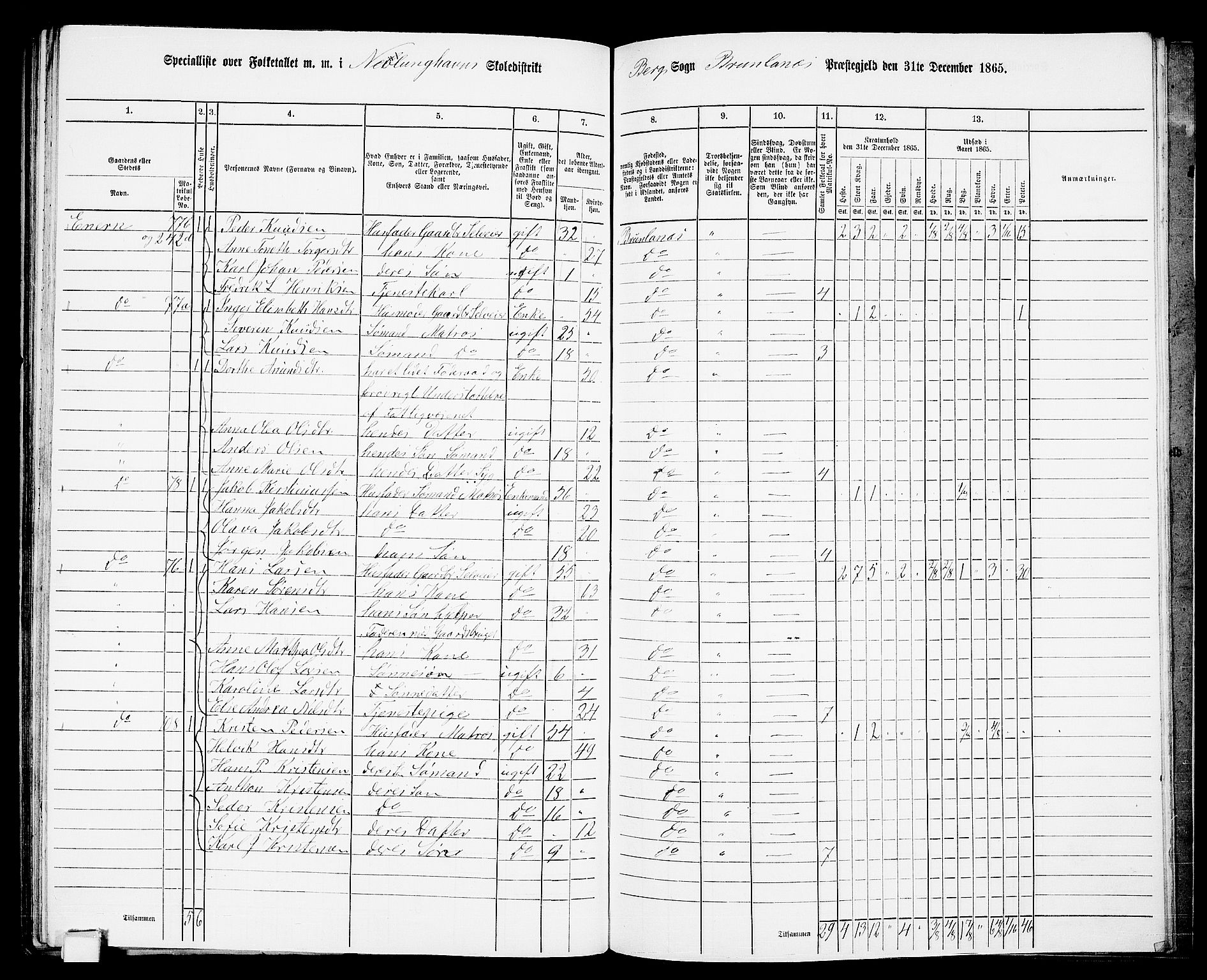 RA, 1865 census for Brunlanes, 1865, p. 156