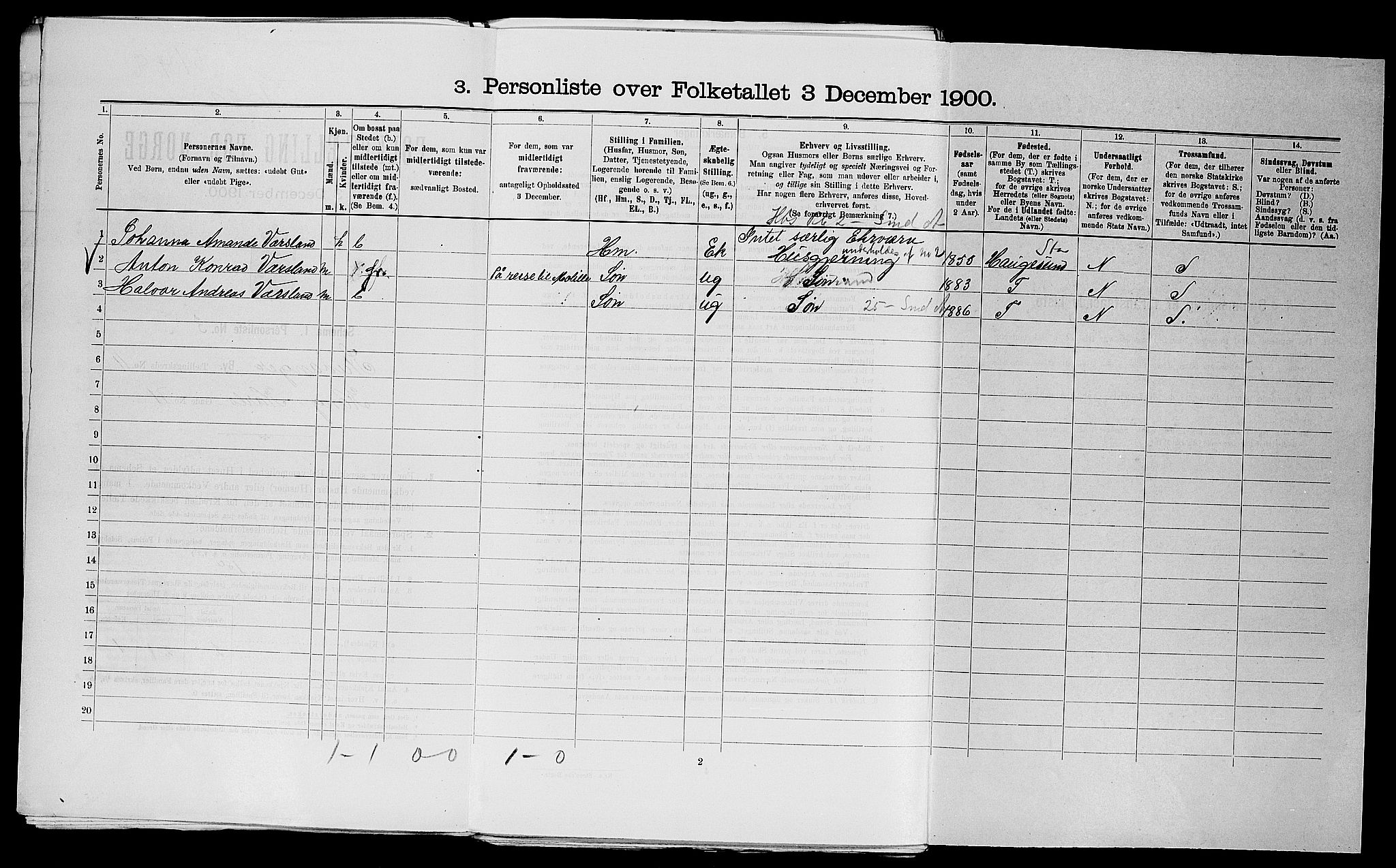 SAST, 1900 census for Stavanger, 1900, p. 18558