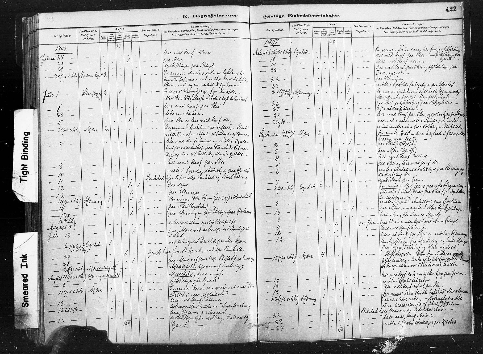 Ministerialprotokoller, klokkerbøker og fødselsregistre - Nord-Trøndelag, SAT/A-1458/735/L0351: Parish register (official) no. 735A10, 1884-1908, p. 422