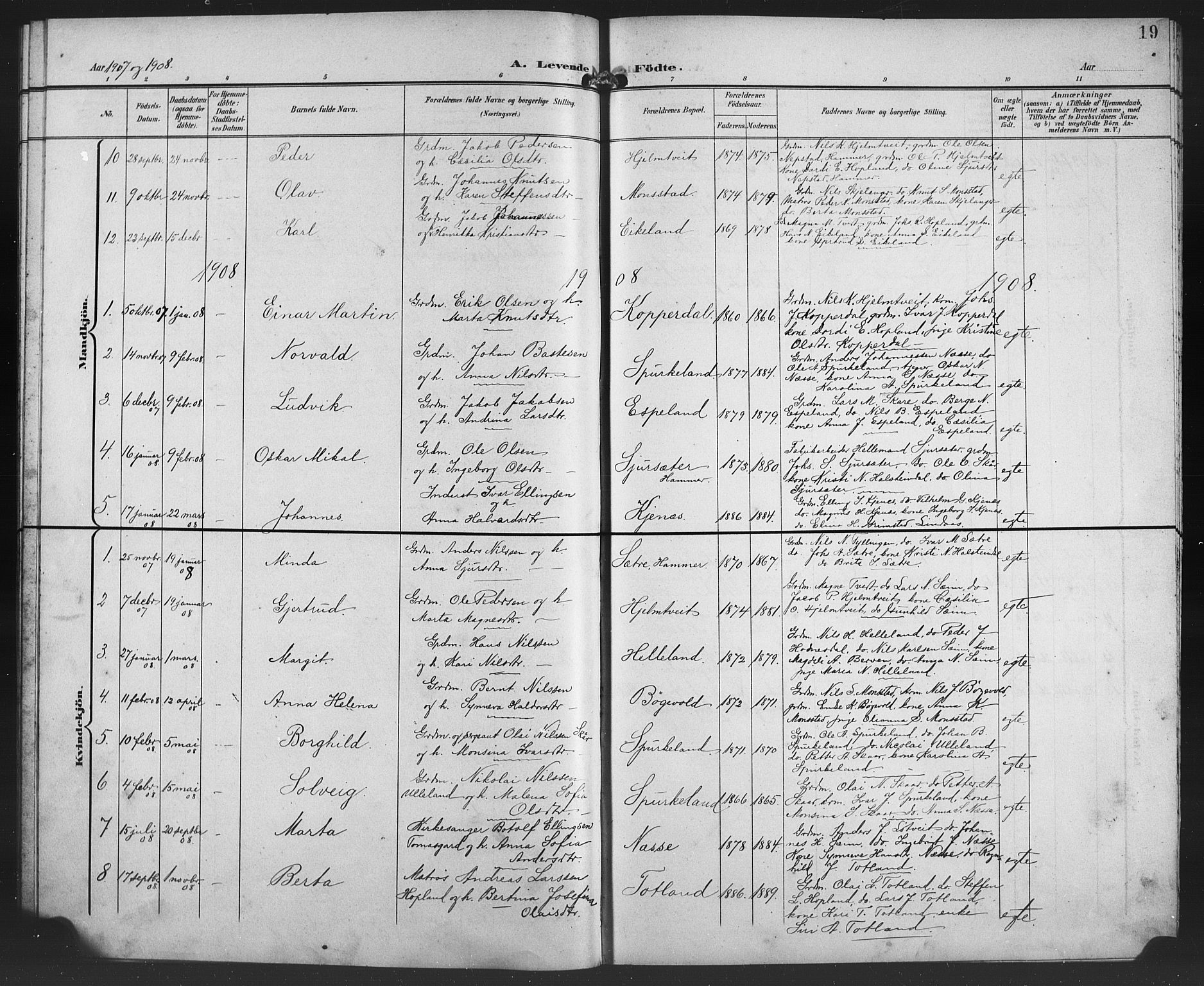 Alversund Sokneprestembete, SAB/A-73901/H/Ha/Haa/Haad/L0003: Parish register (official) no. D 3, 1899-1908, p. 19