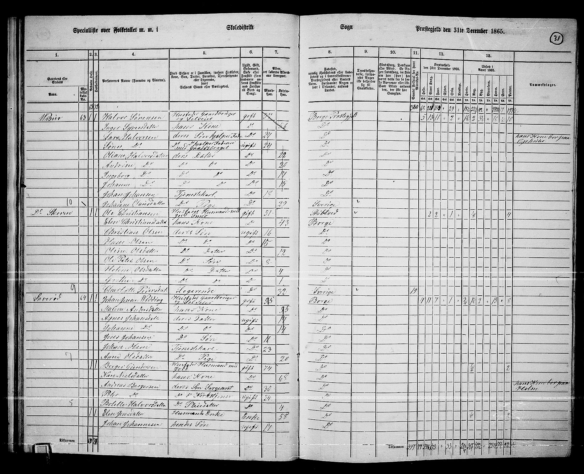 RA, 1865 census for Borge, 1865, p. 31